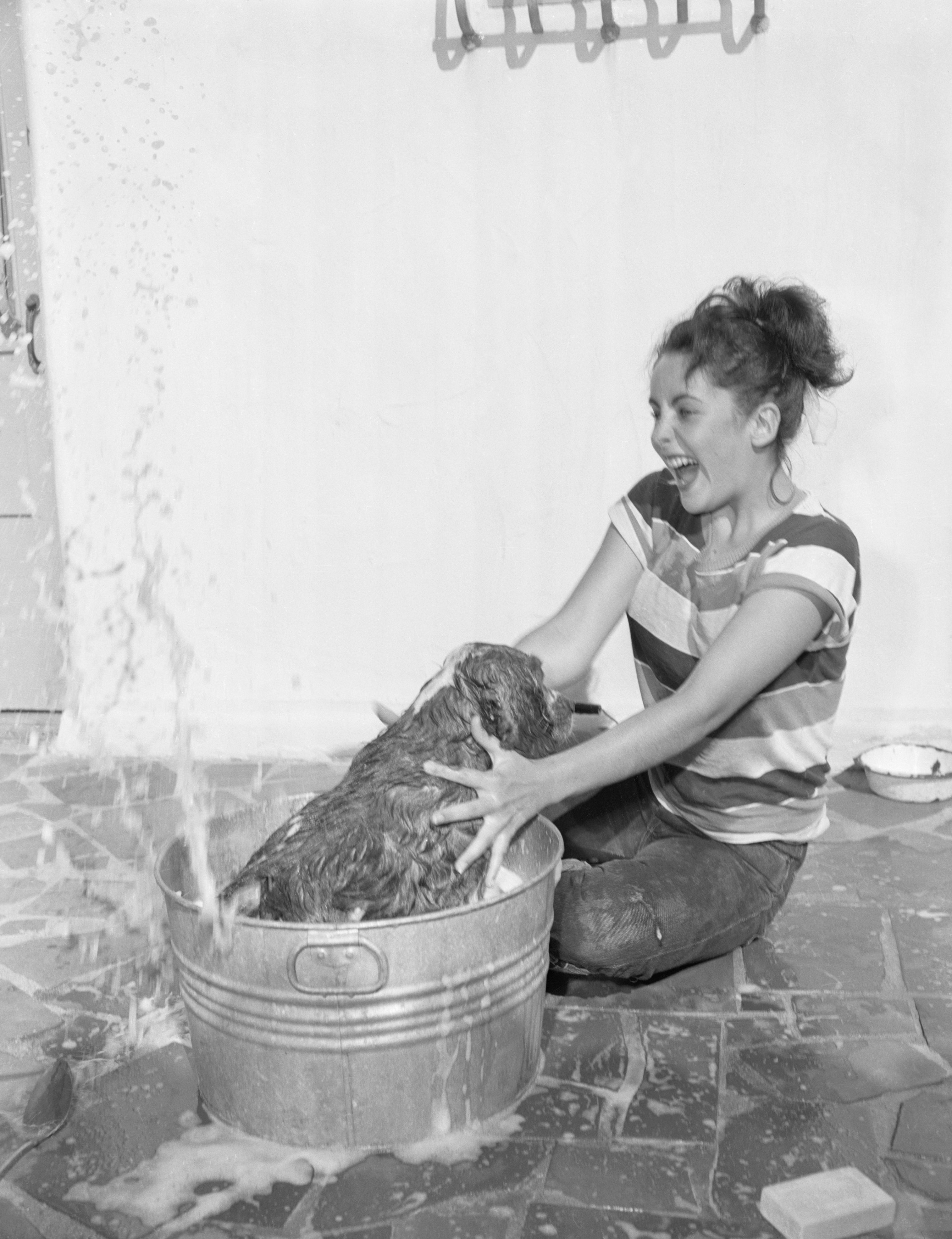 Elizabeth Taylor in striped shirt joyfully bathes a dog in a metal tub outside, water splashing over the sides