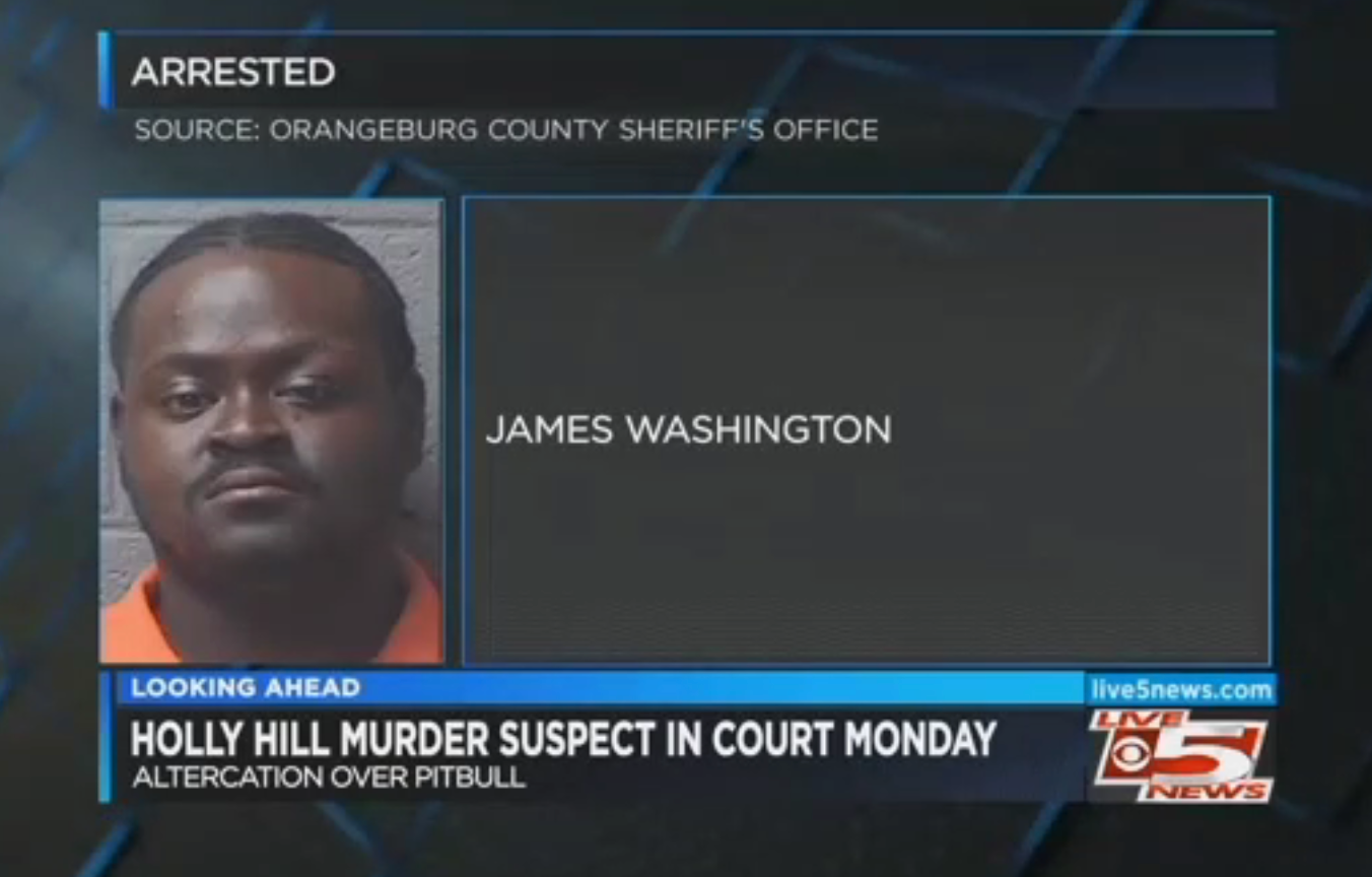Mugshot of a antheral   labeled arsenic  James Washington, arrested successful  transportation  to a Holly Hill murder, related to an altercation implicit    a pitbull