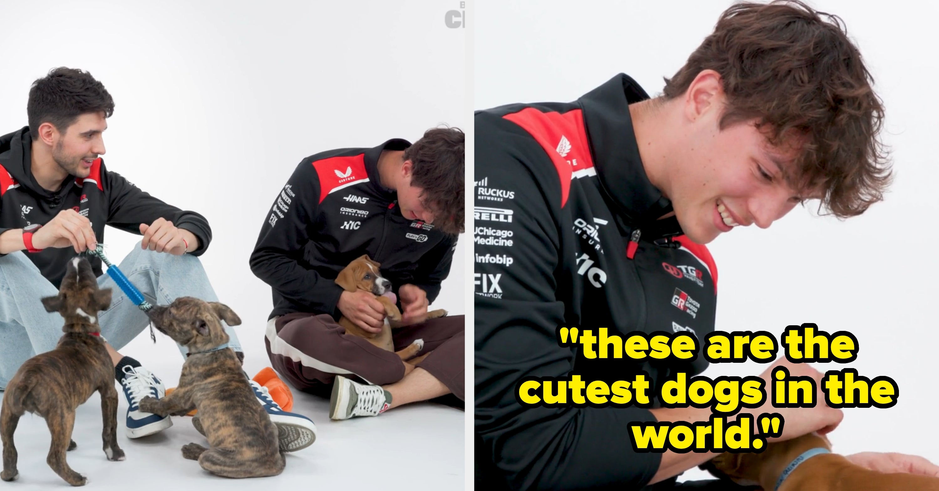 Esteban Ocon And Ollie Bearman Played With Puppies While Talking About F1, Video Games, Taylor Swift, And More