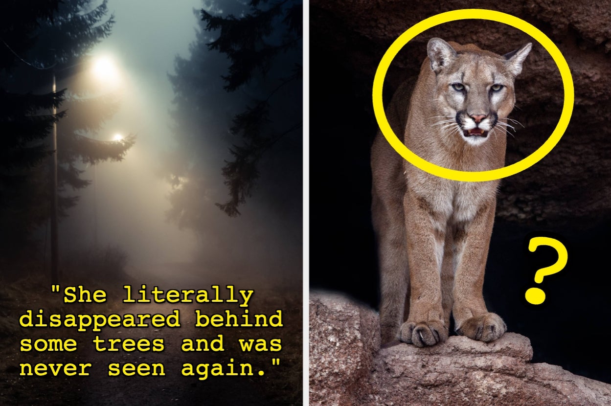 A foggy forest scene with the text: "She literally disappeared behind some trees and was never seen again." Next to it, a cougar stands on rocks