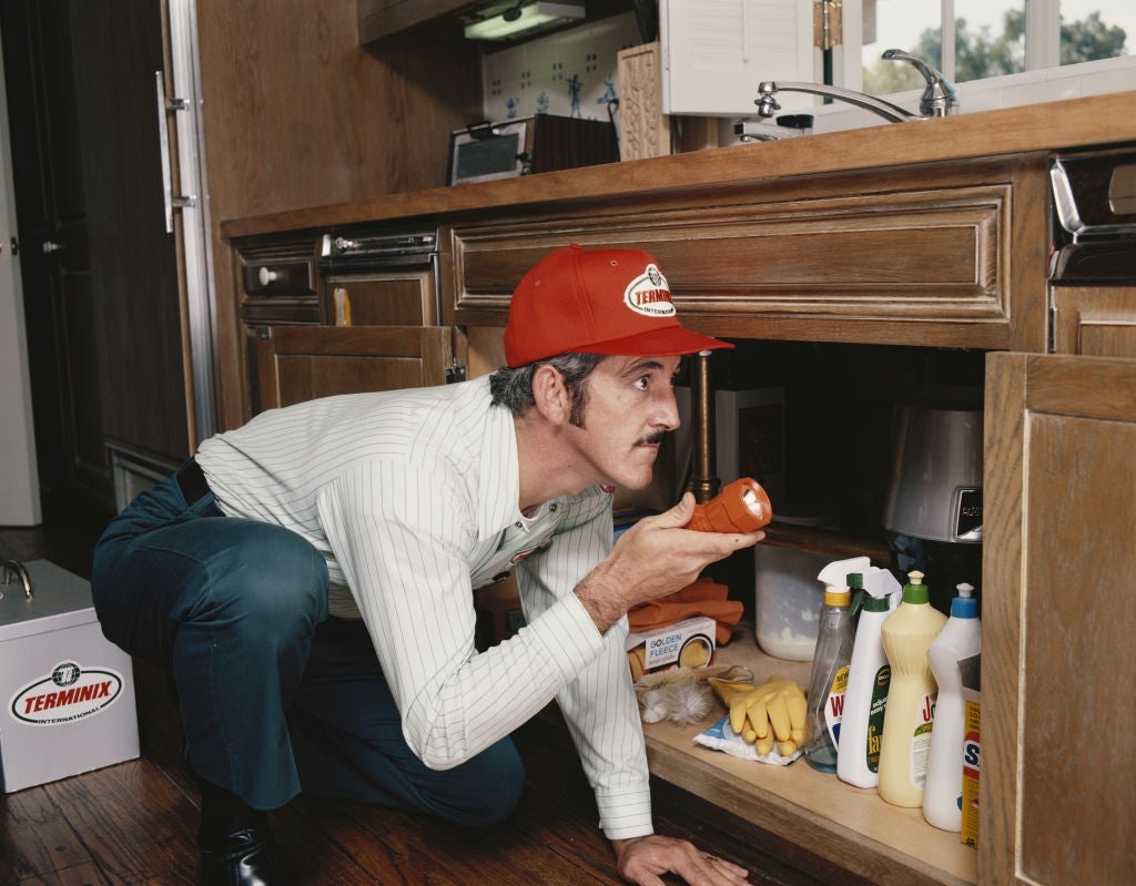 Person in uniform inspecting under a kitchen sink with cleaning supplies, holding a flashlight. Box marked "Terminix" nearby