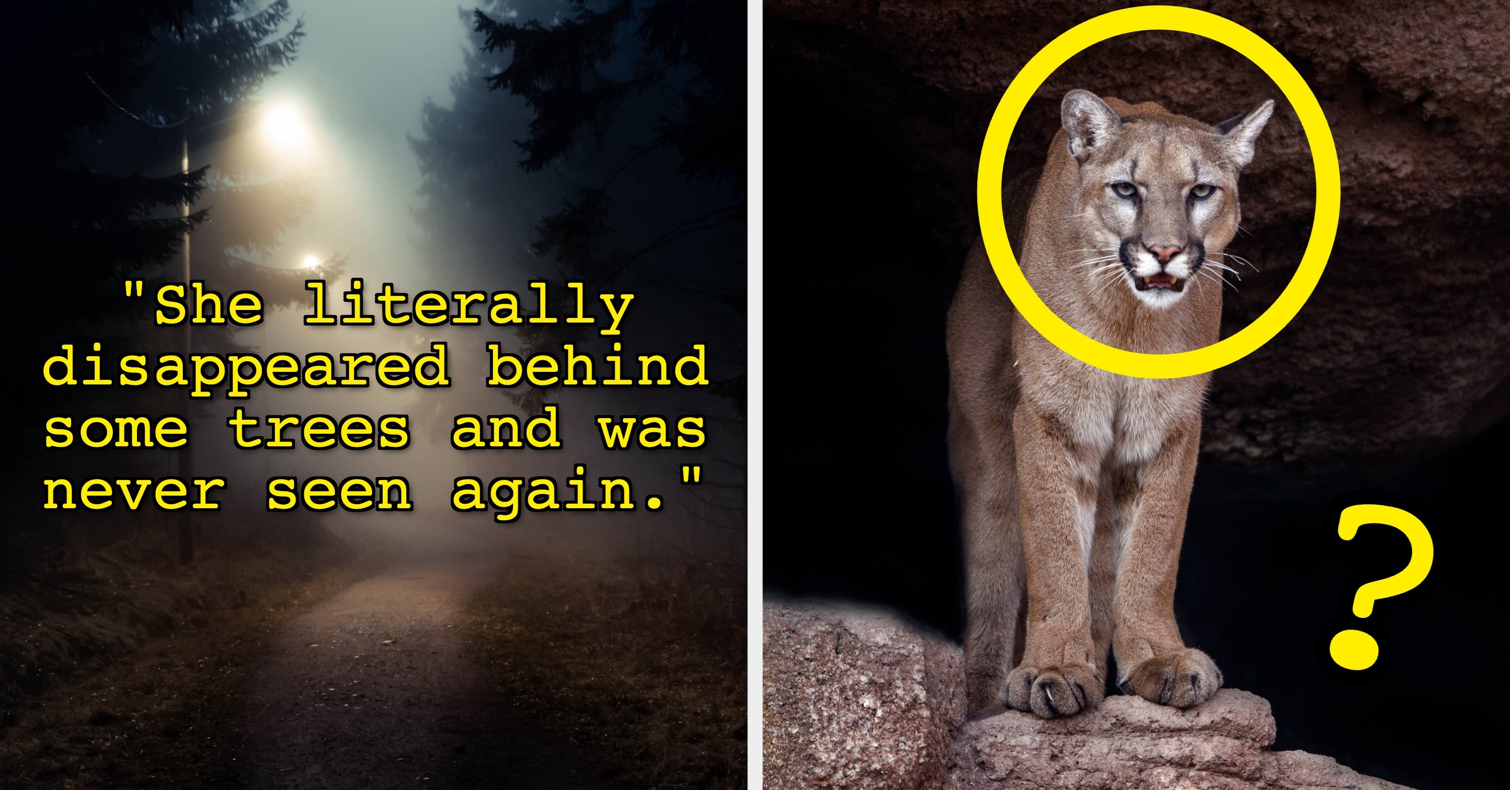 13 People Walked Into National Parks And Vanished — And Despite Massive Searches, These Cases Are Still Unsolved