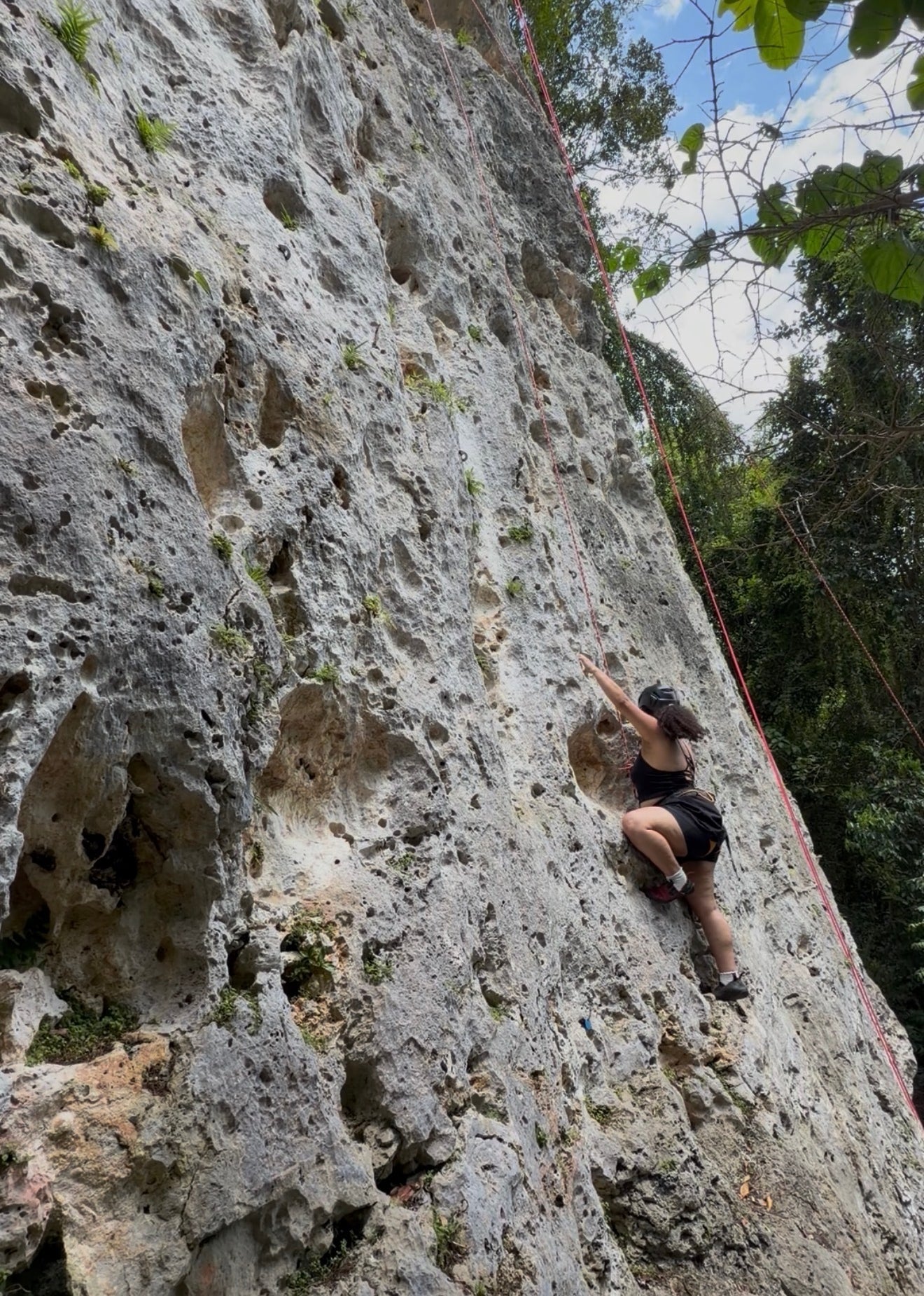 Person rock climbing on a textured vertical cliff with safety gear, surrounded by trees. Bright day visible