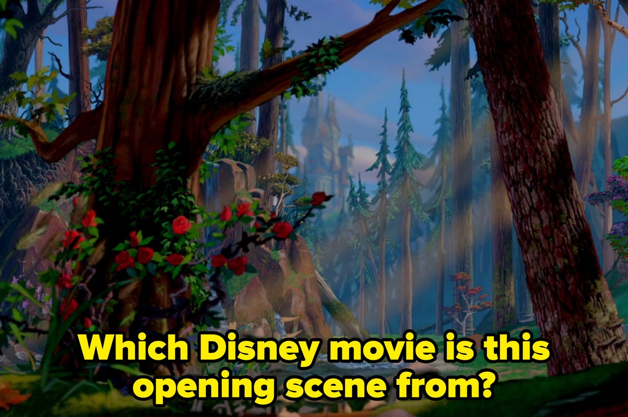 No One Born After 1999 Can Match 32/35 Of These Disney Movies With A Screenshot Of The Opening Scene