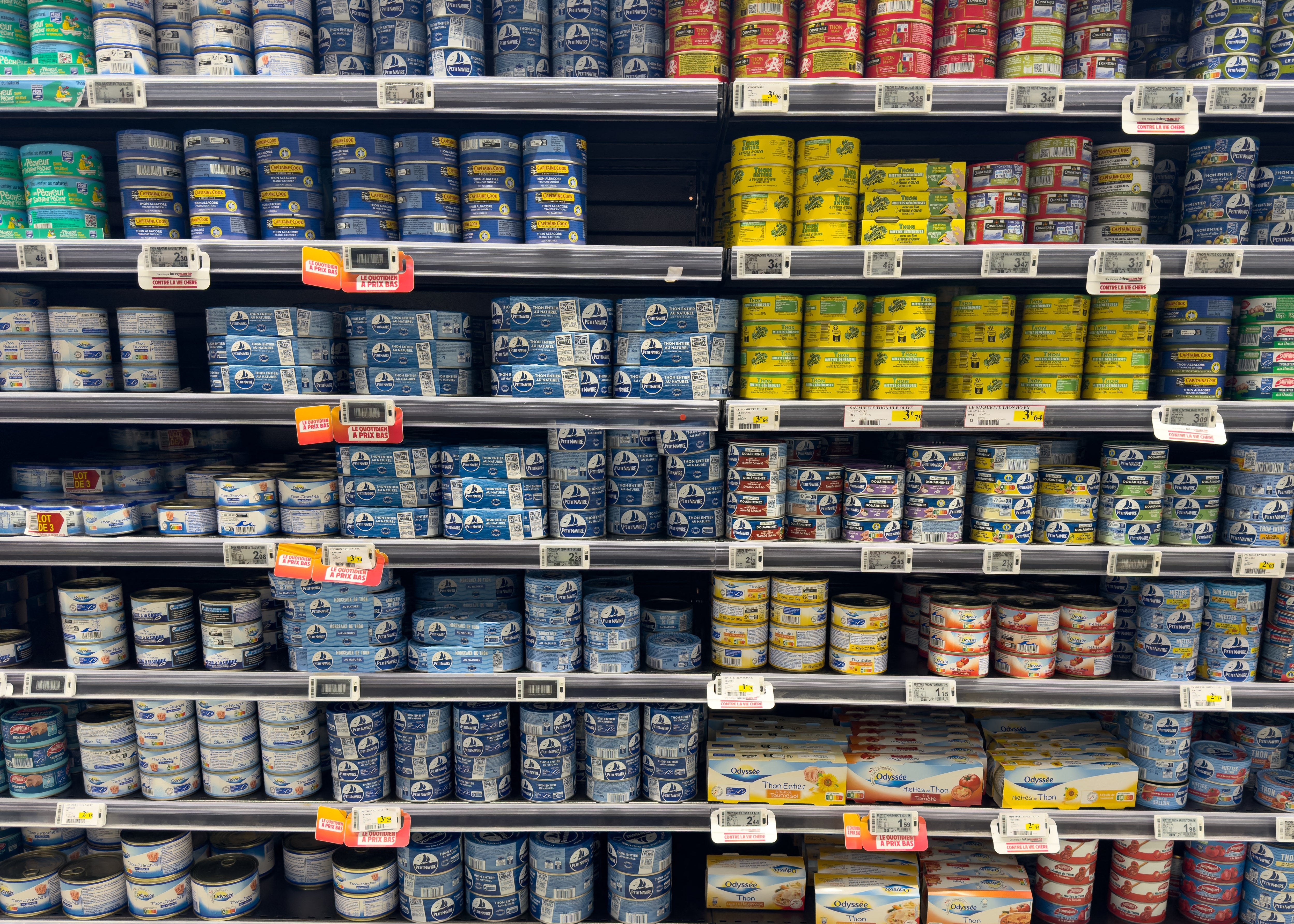 Grocery store shelves stocked with various canned tuna brands, showcasing product variety and pricing