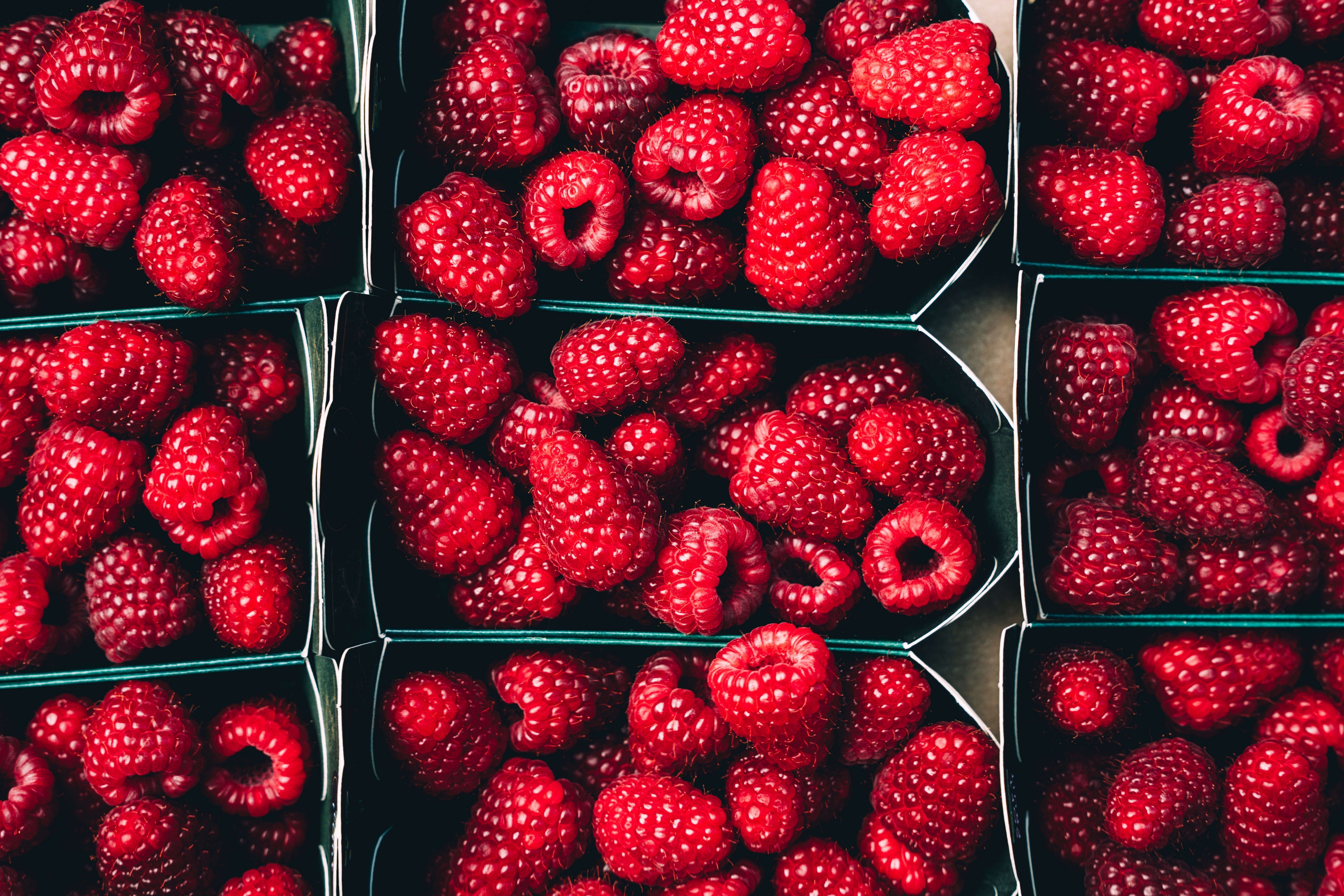 Containers filled with fresh raspberries neatly arranged