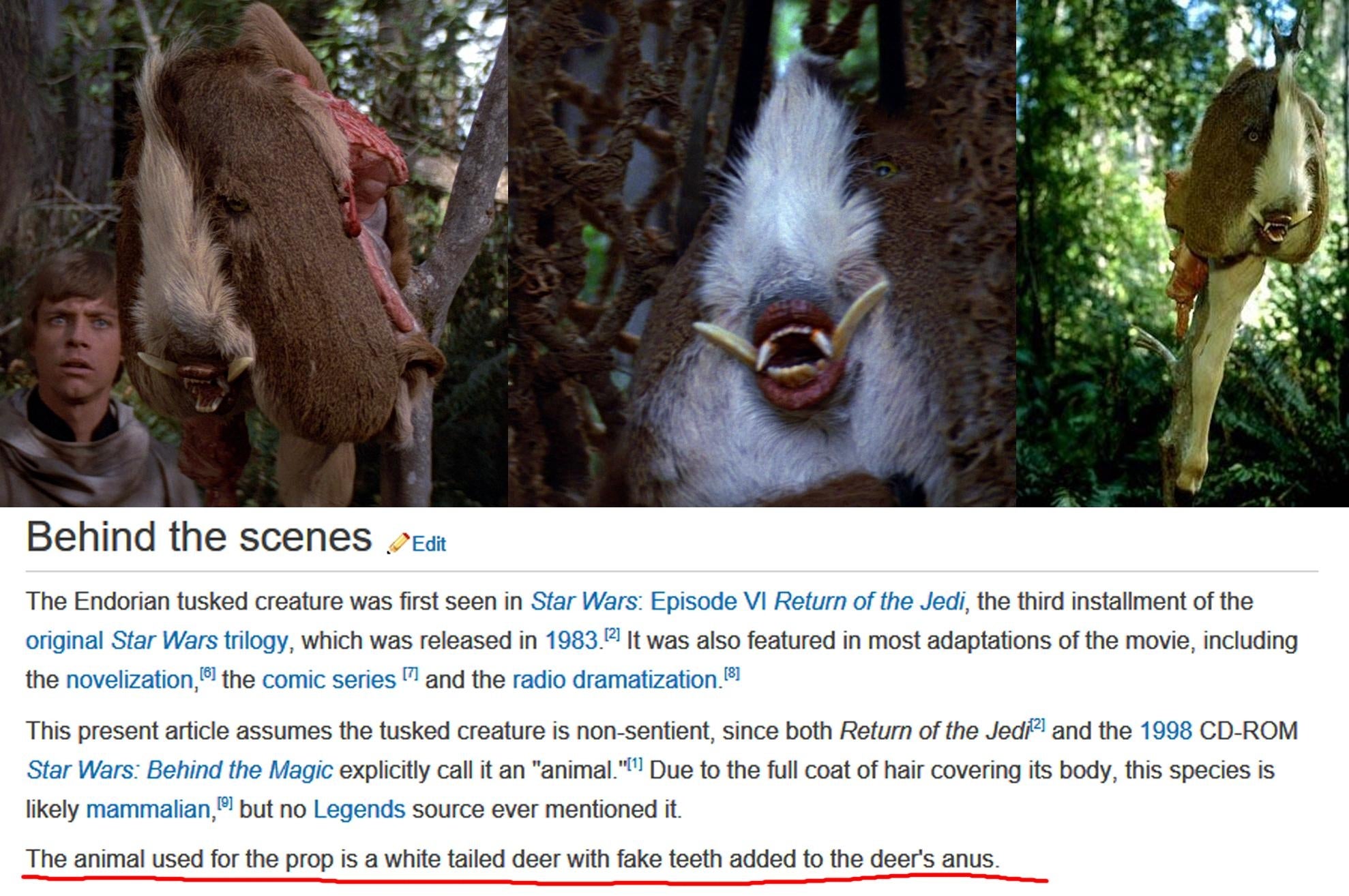 Behind-the-scenes look at the Star Wars creature, revealing the prop's use of a white-tailed deer with added fake teeth
