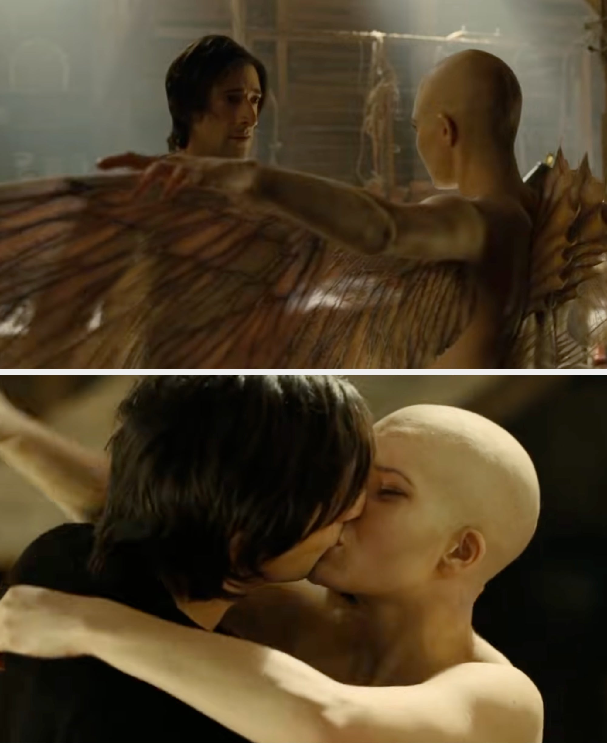 A country   from Splice with 2  characters, 1  with wings, facing each   different   successful  an aggravated  infinitesimal   and past    kissing