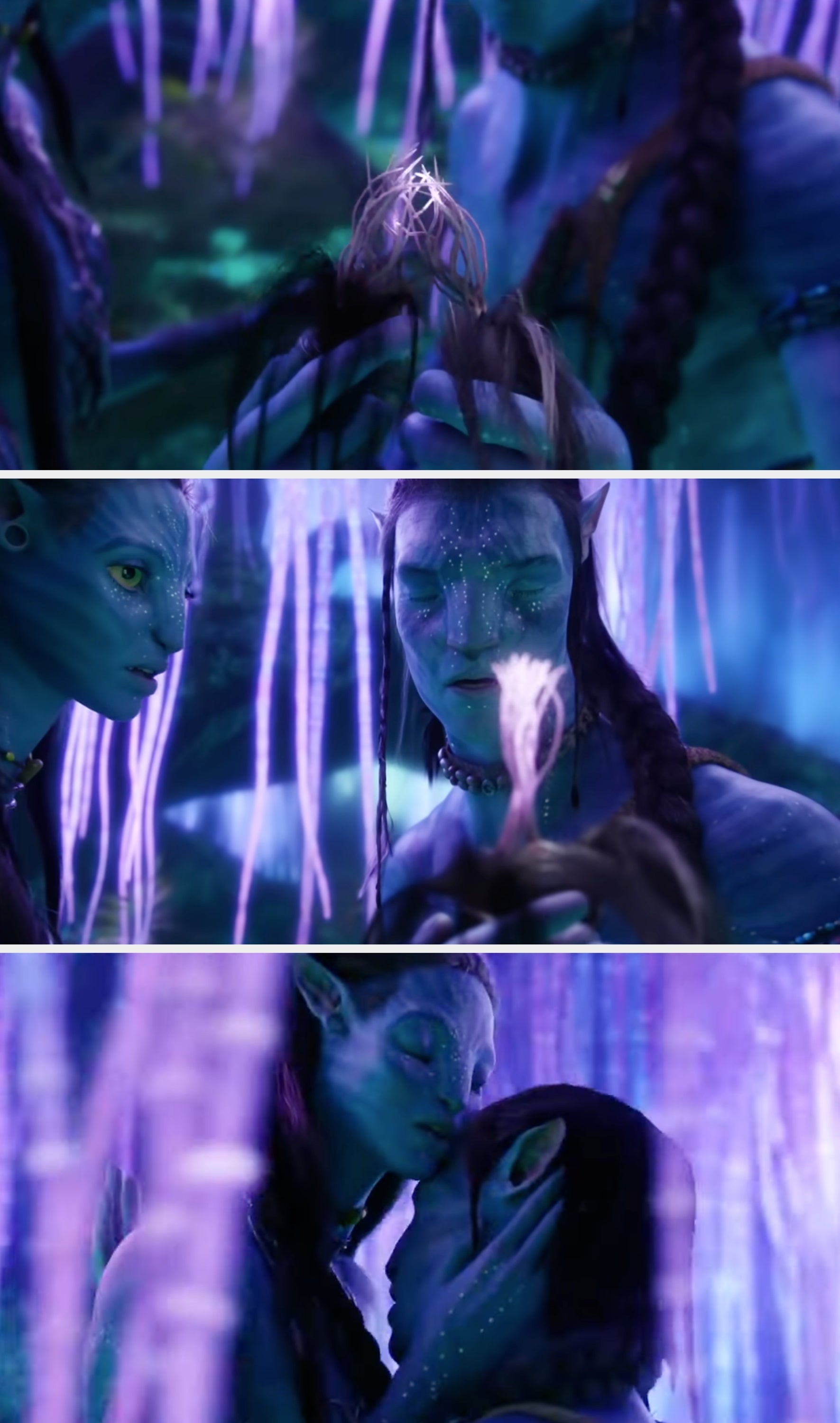 Scene from Avatar with 2  characters being intimate successful  the forest
