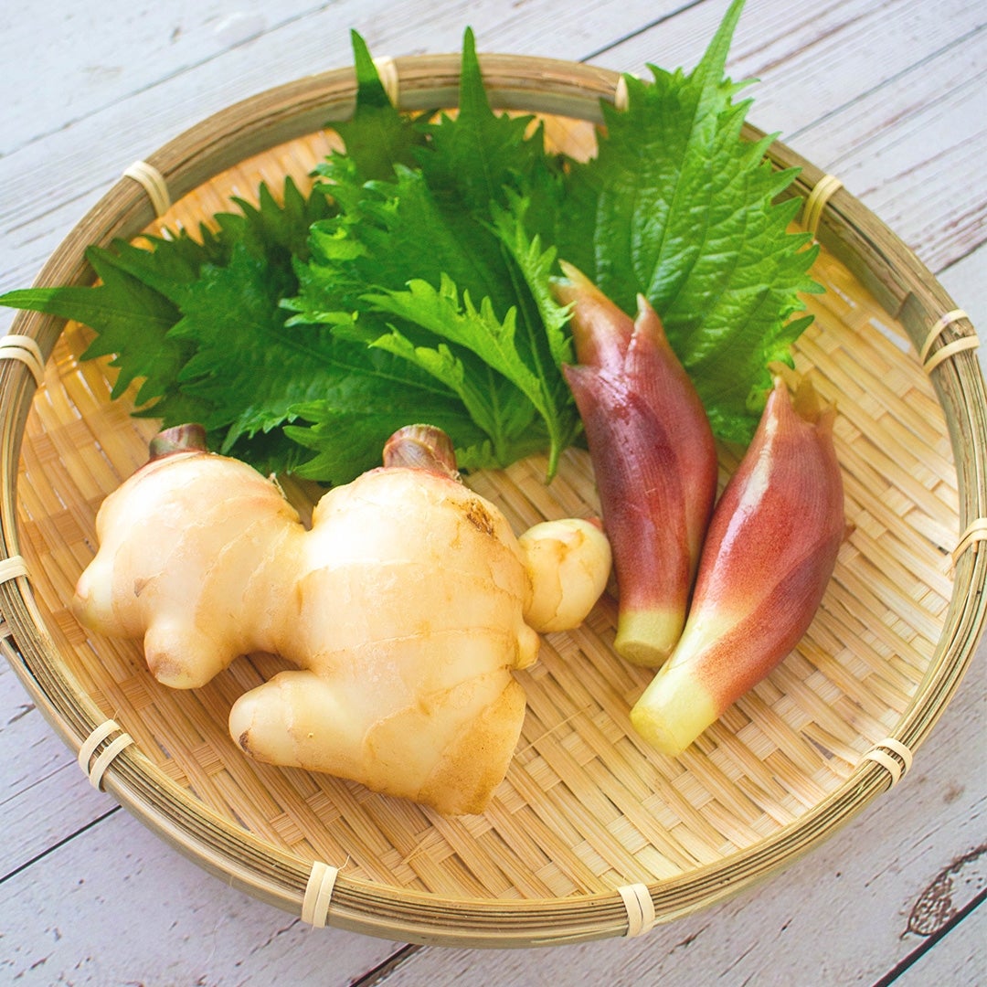 夏はコレっ】箸が止まらない！新生姜とみょうがでさっぱり「無限塩