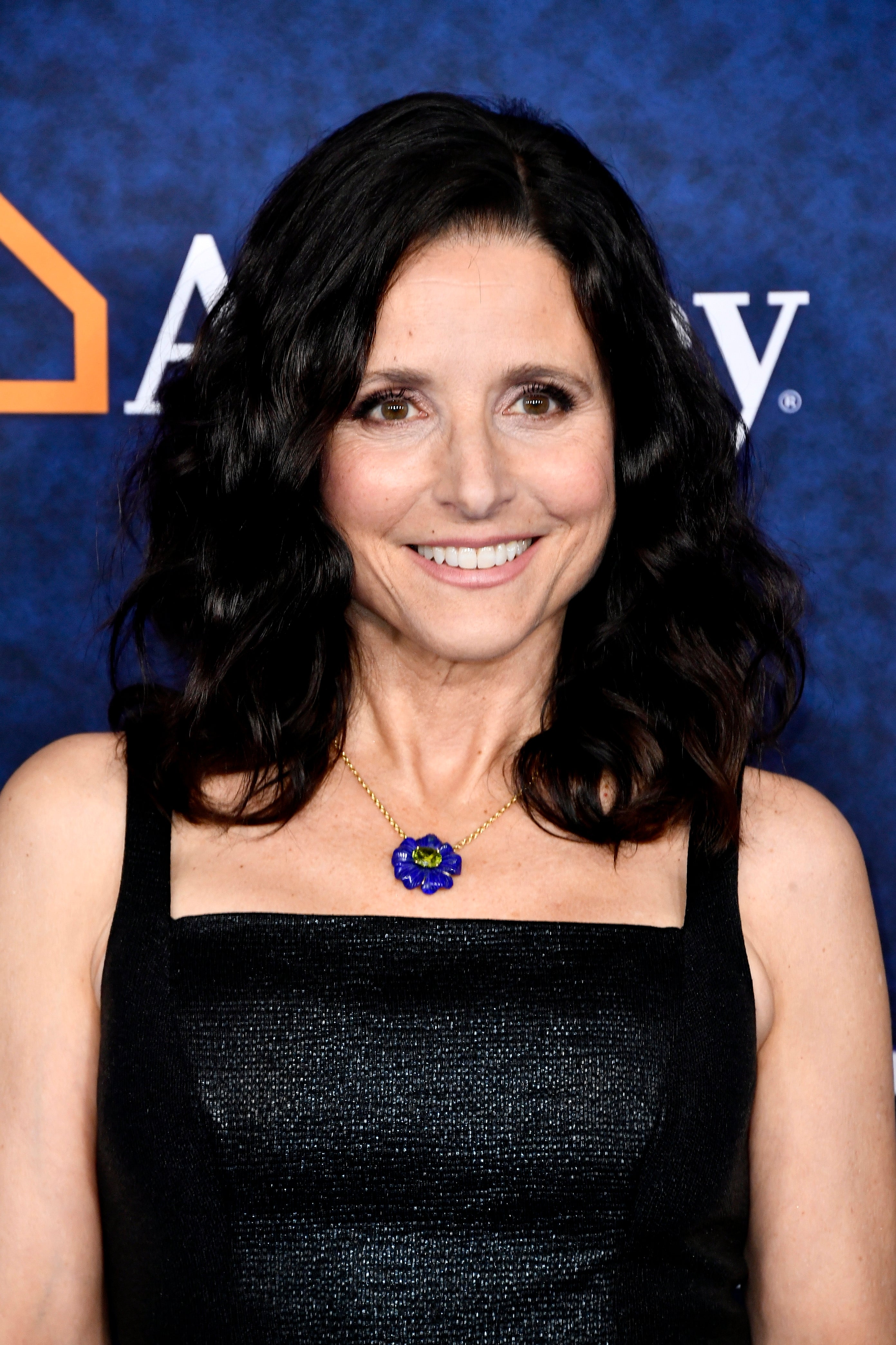 Julia Louis-Dreyfus attends the Premiere Of Disney And Pixar's "Onward" connected February 18, 2020 successful Hollywood, California.