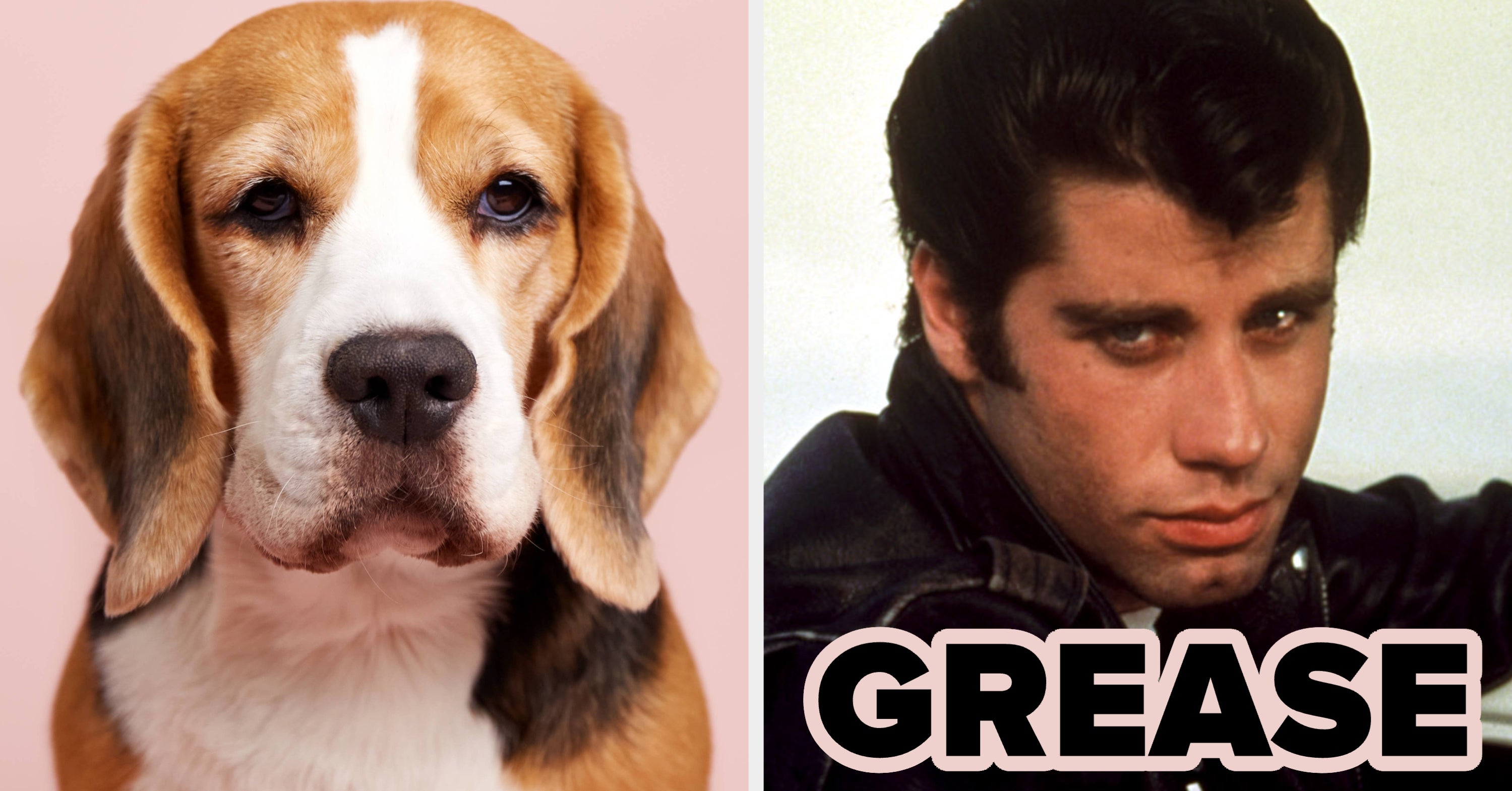 Pick One Iconic Movie From Each Decade And We'll Guess Which Dog Breed You Are Deep Down