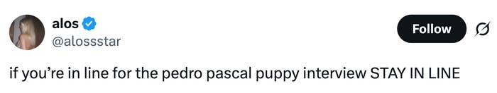 Tweet by user: "if you’re in line for the pedro pascal puppy interview STAY IN LINE."