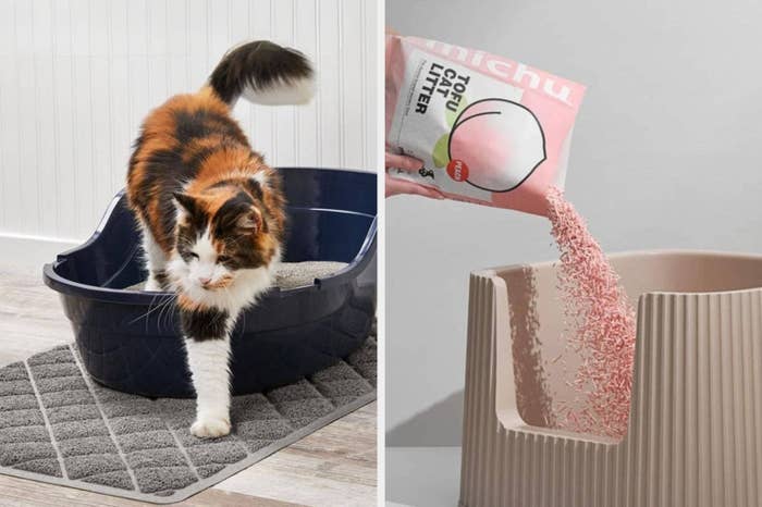 Cat leaving a litter box on the left; tofu cat litter being poured into another litter box on the right, signifying litter choice options