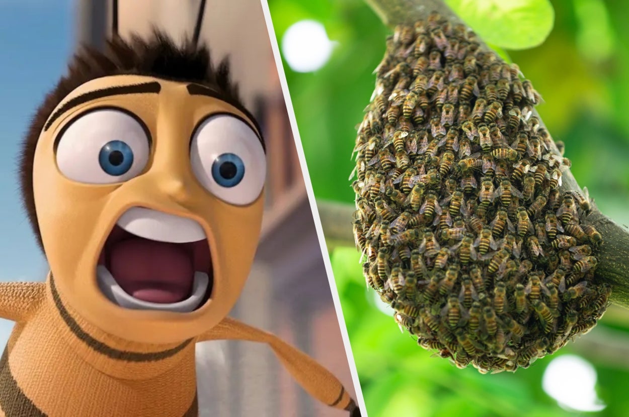 If You Can't Pass This Quiz, You'd Fail Miserably As A Worker Bee