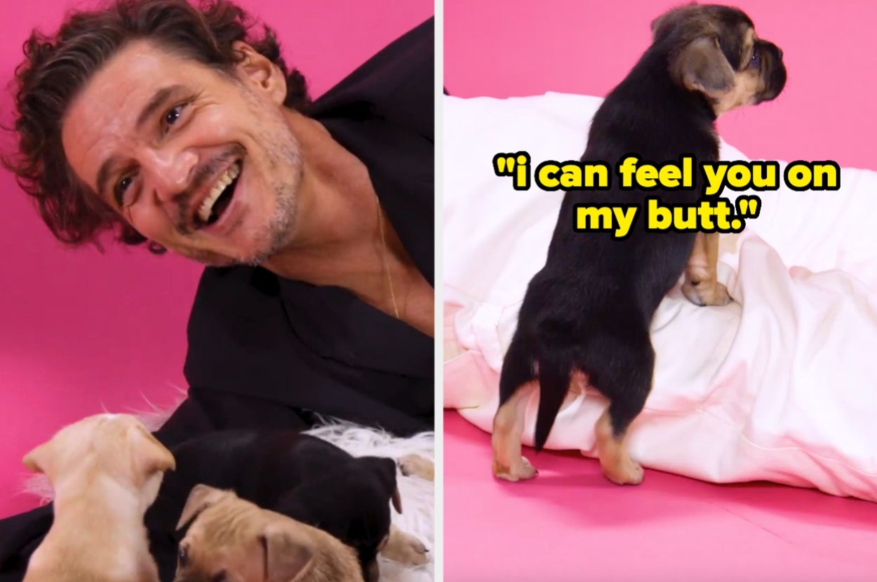 Pedro Pascal Did The Puppy Interview — You're Welcome