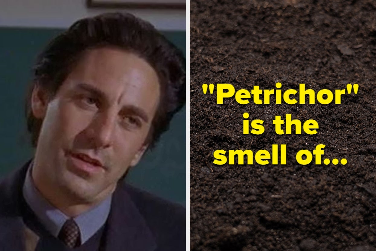 Max Medina, a teacher on "Gilmore Girls," is on the left, and on the right, text reads: "Petrichor" is the smell of..