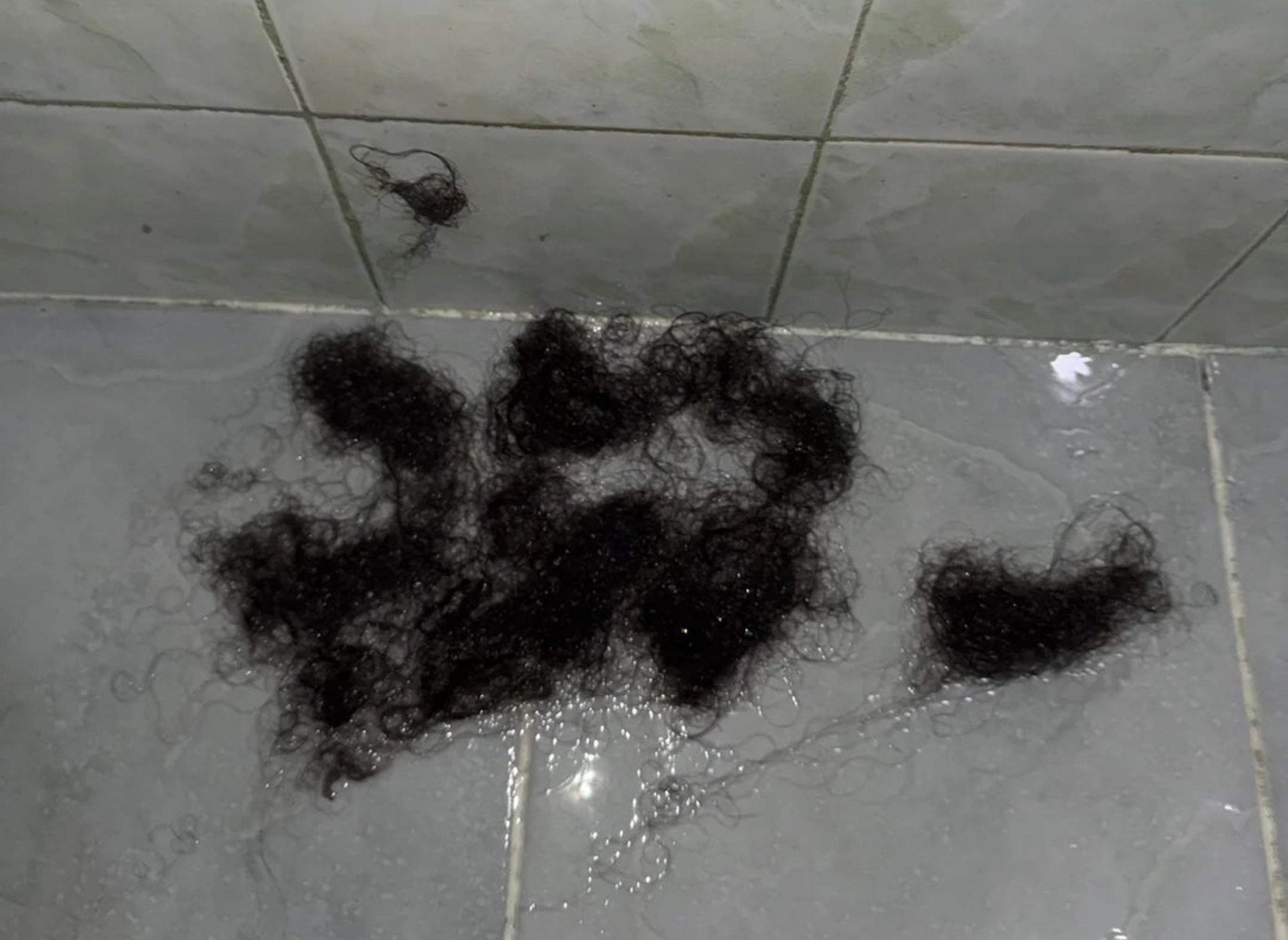 Clumps of hairsbreadth connected a tiled bath floor, perchance aft a haircut oregon shower