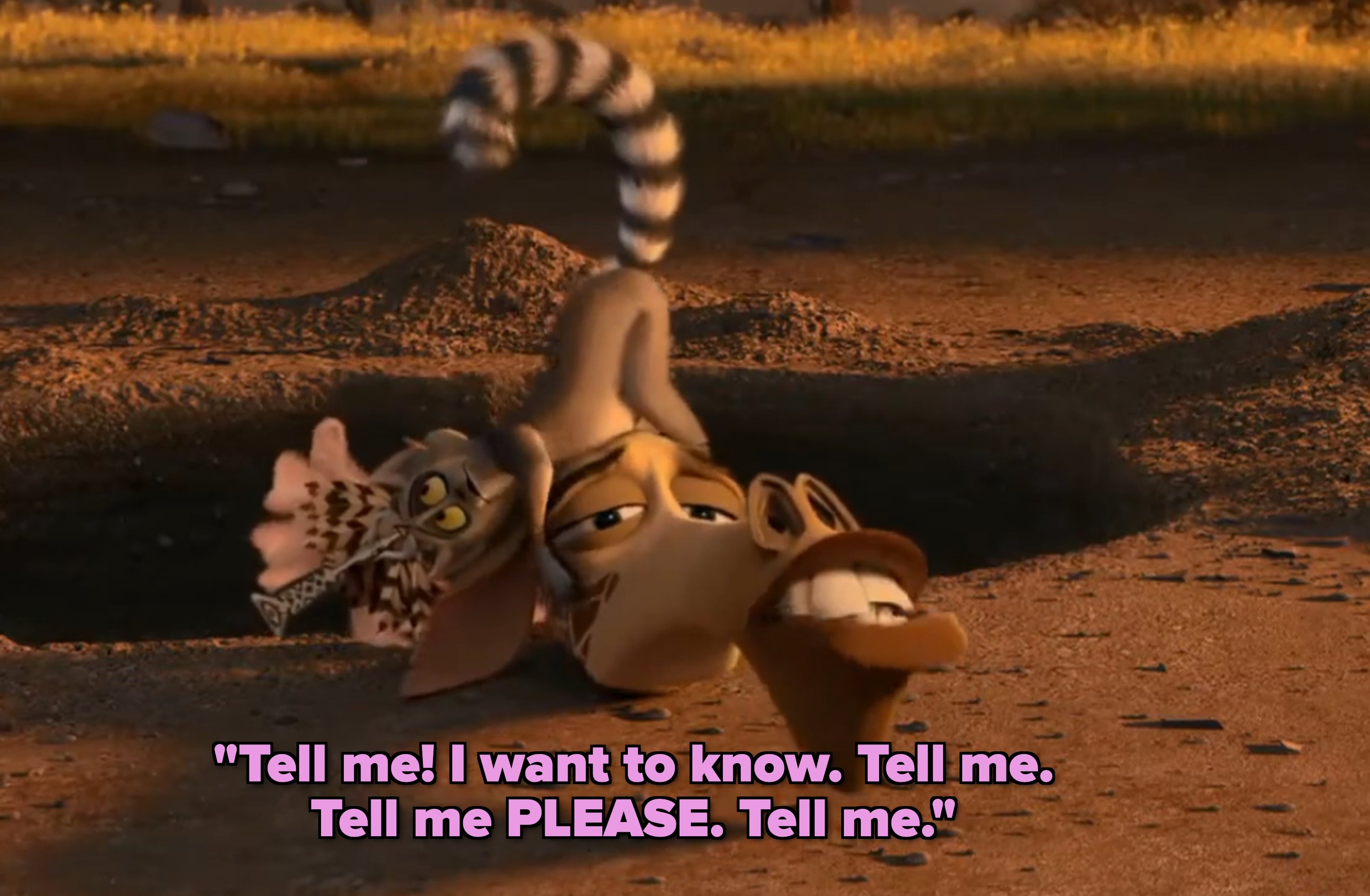 An animated lemur, warthog, and different animals successful a godforsaken scenery look amazed adjacent a burrow