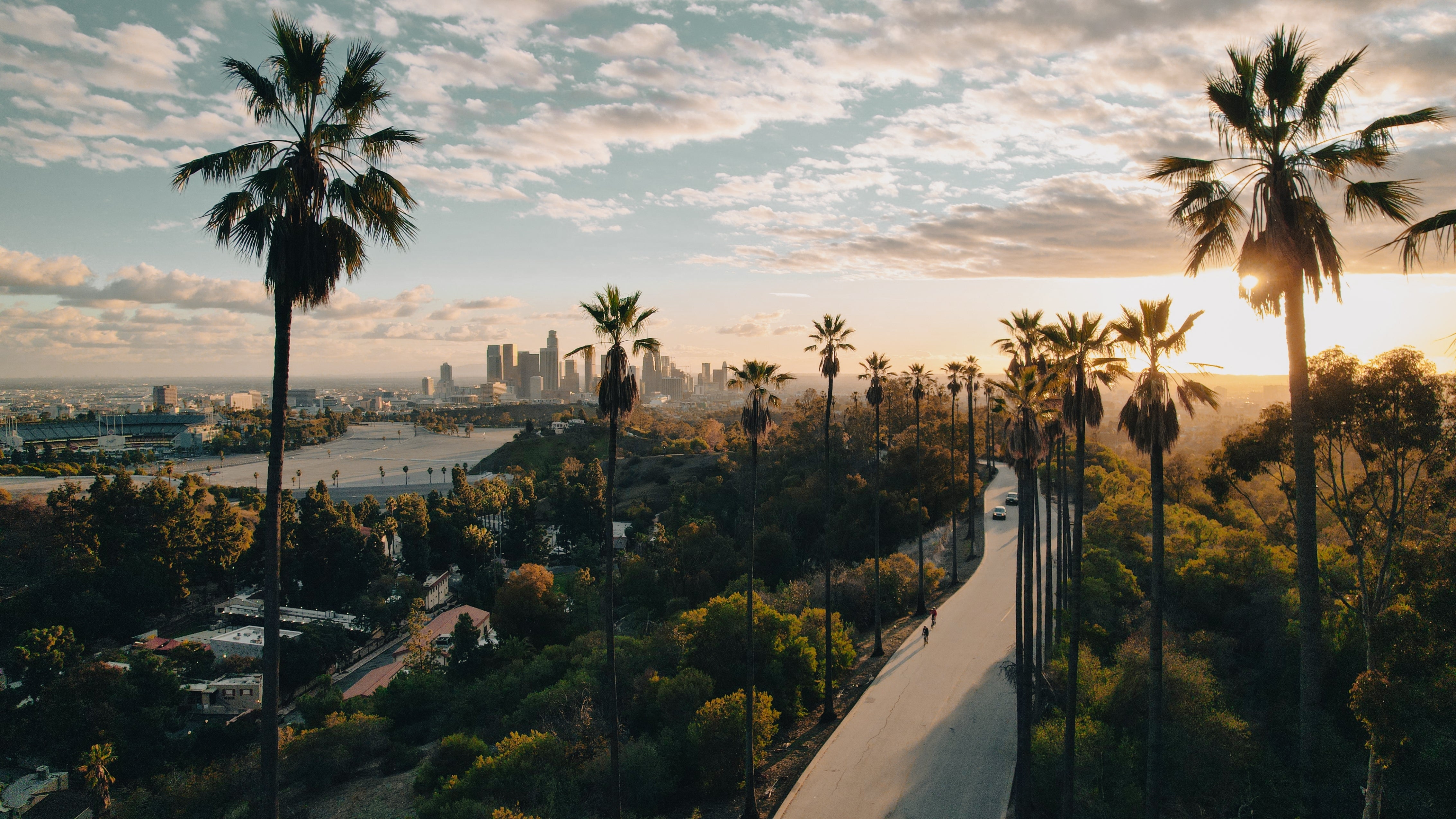 Sunset view of a palm-lined road leading to a city skyline, capturing an iconic Los Angeles landscape