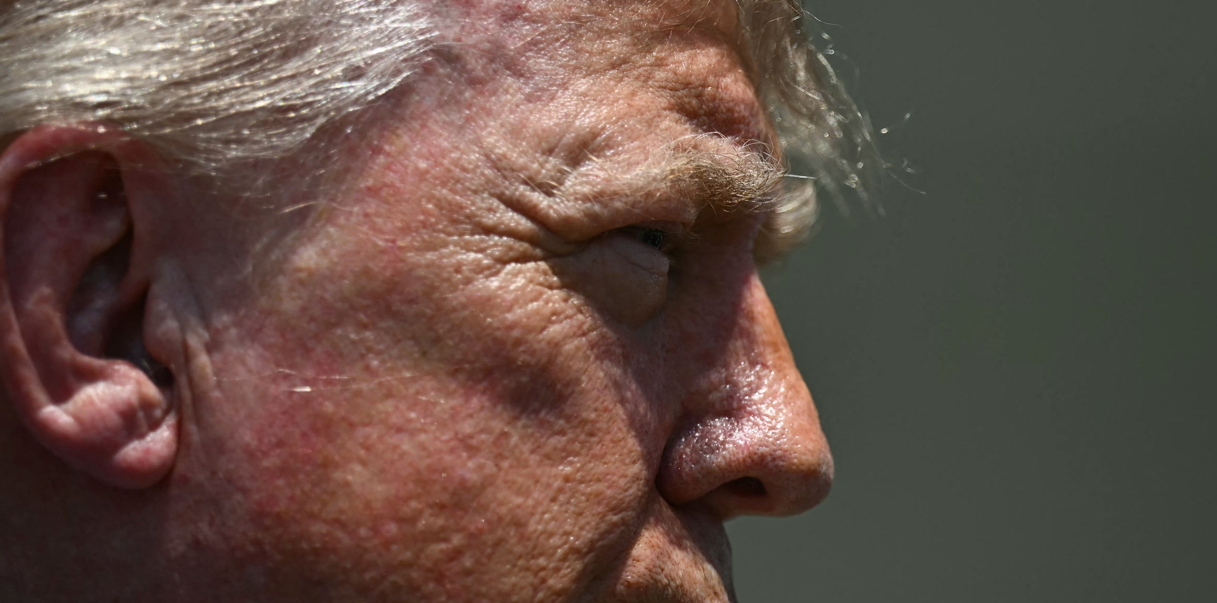 Close-up of Donald Trump's hair in profile