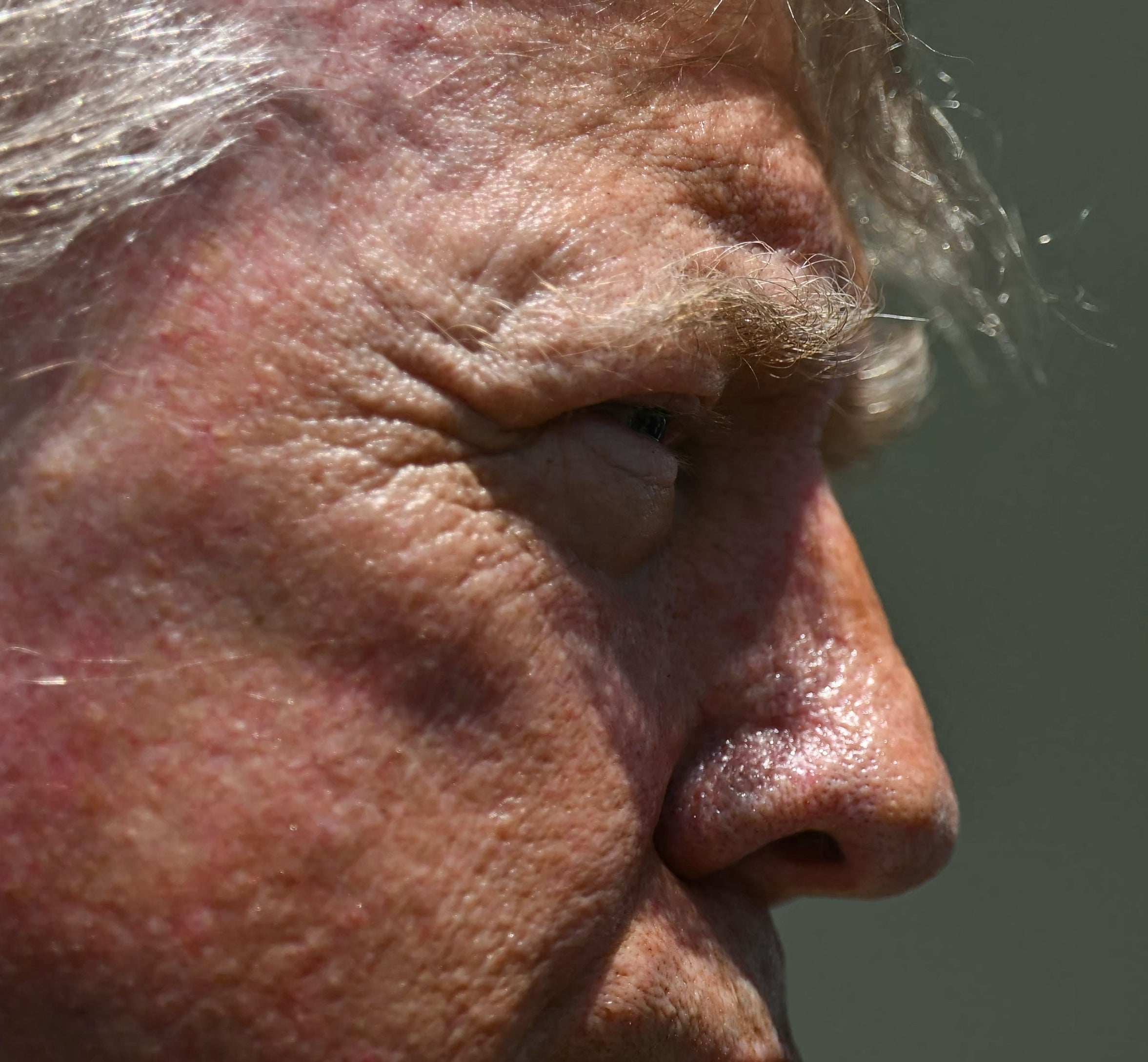 Closer close-up of Donald Trump's hair in profile