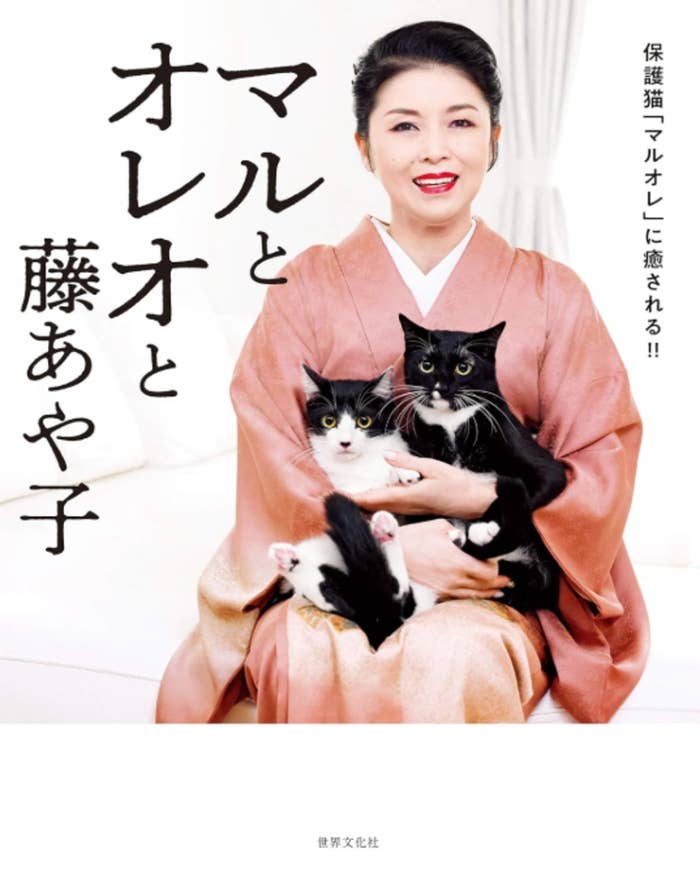 『マルとオレオと藤あや子』（世界文化社）Amazonより