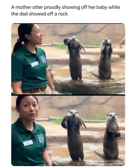 Zoo employee smiles near two otters; one shows a baby, the other holds a rock. Caption humorously contrasts the otters' actions