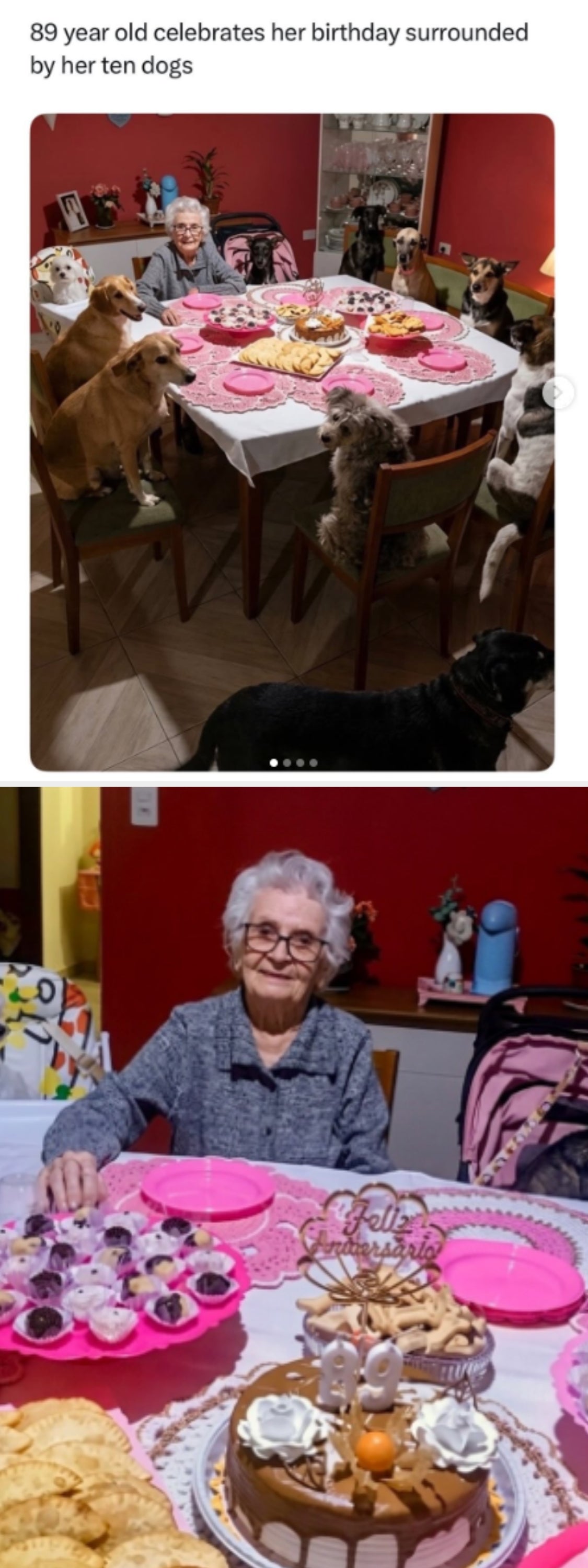 Elderly woman sits at a dining table celebrating her birthday, surrounded by ten dogs, each seated at the table