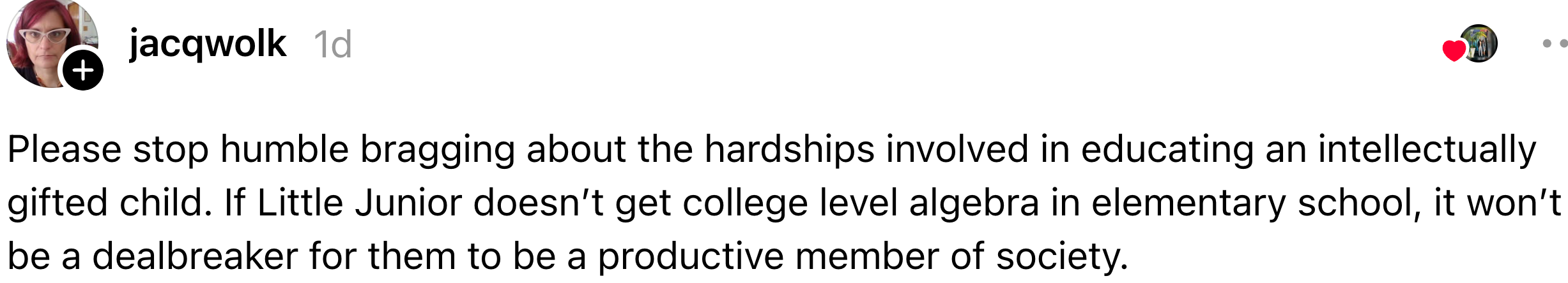 Comment criticizing the humble bragging astir  educating an intellectually talented  child, questioning its value  for societal productivity