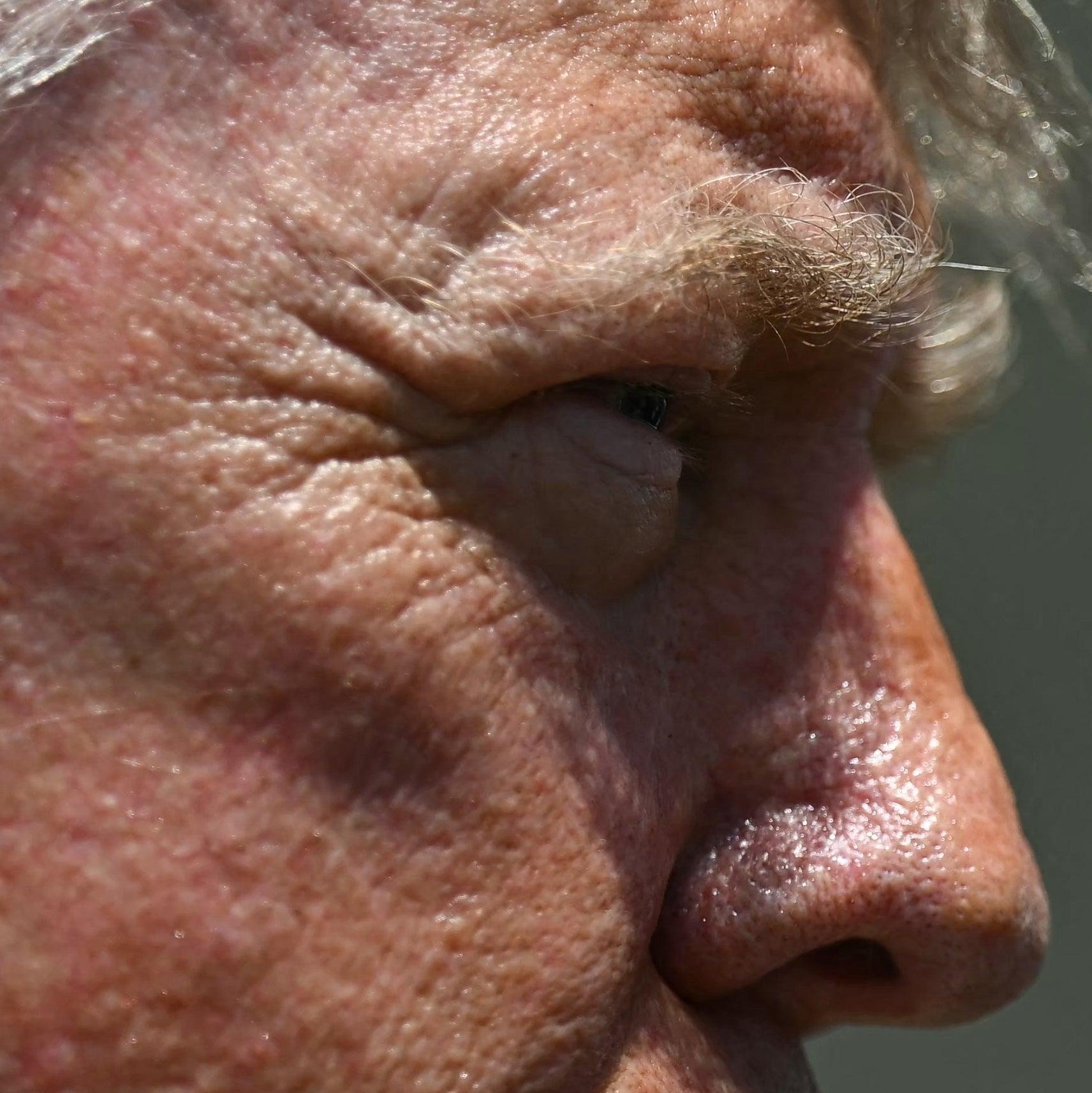 Even closer close-up of Donald Trump's hair in profile