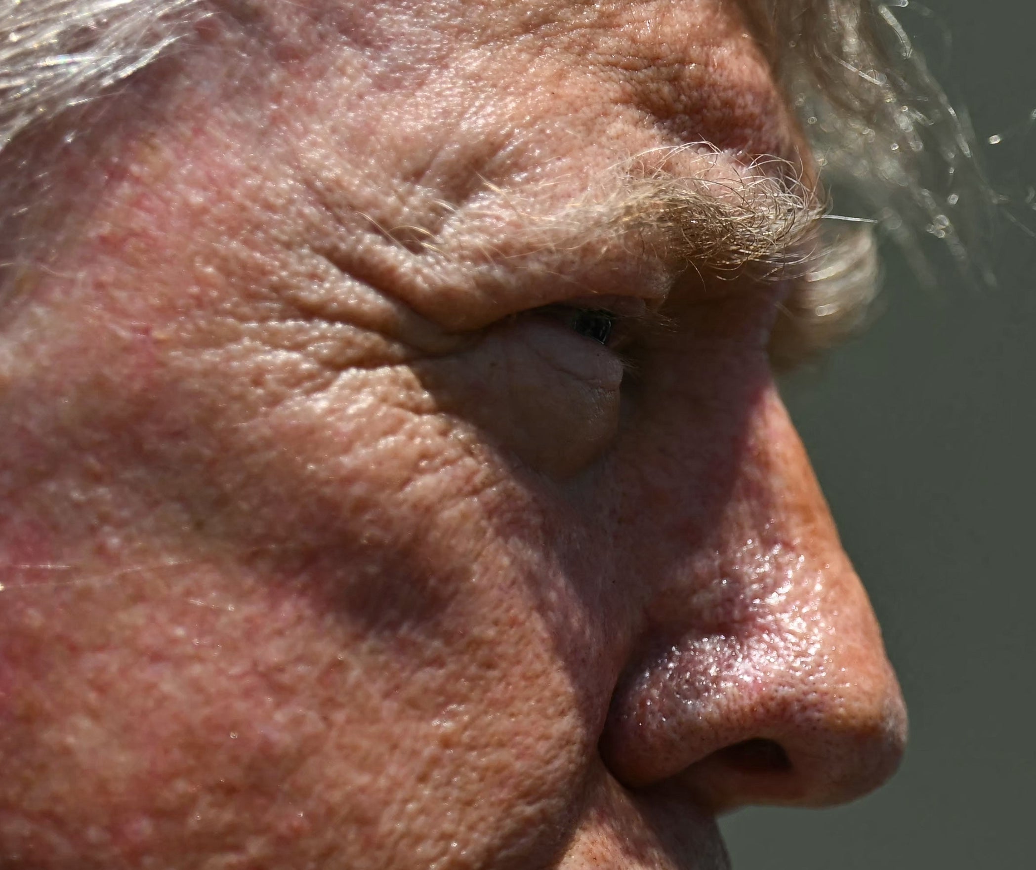 Even closer close-up of Donald Trump's hair in profile