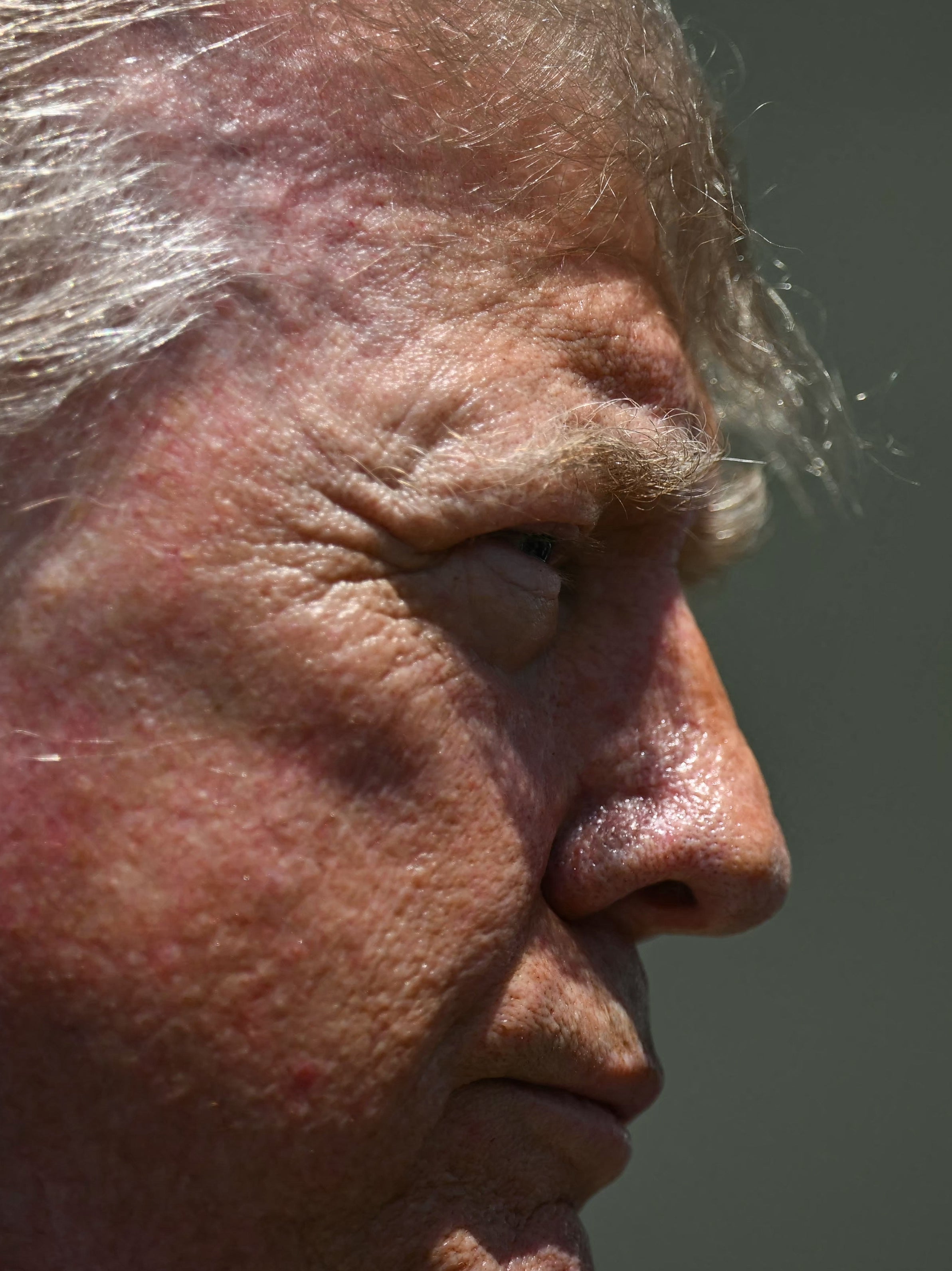 Closer close-up of Donald Trump's hair in profile, the back half this time