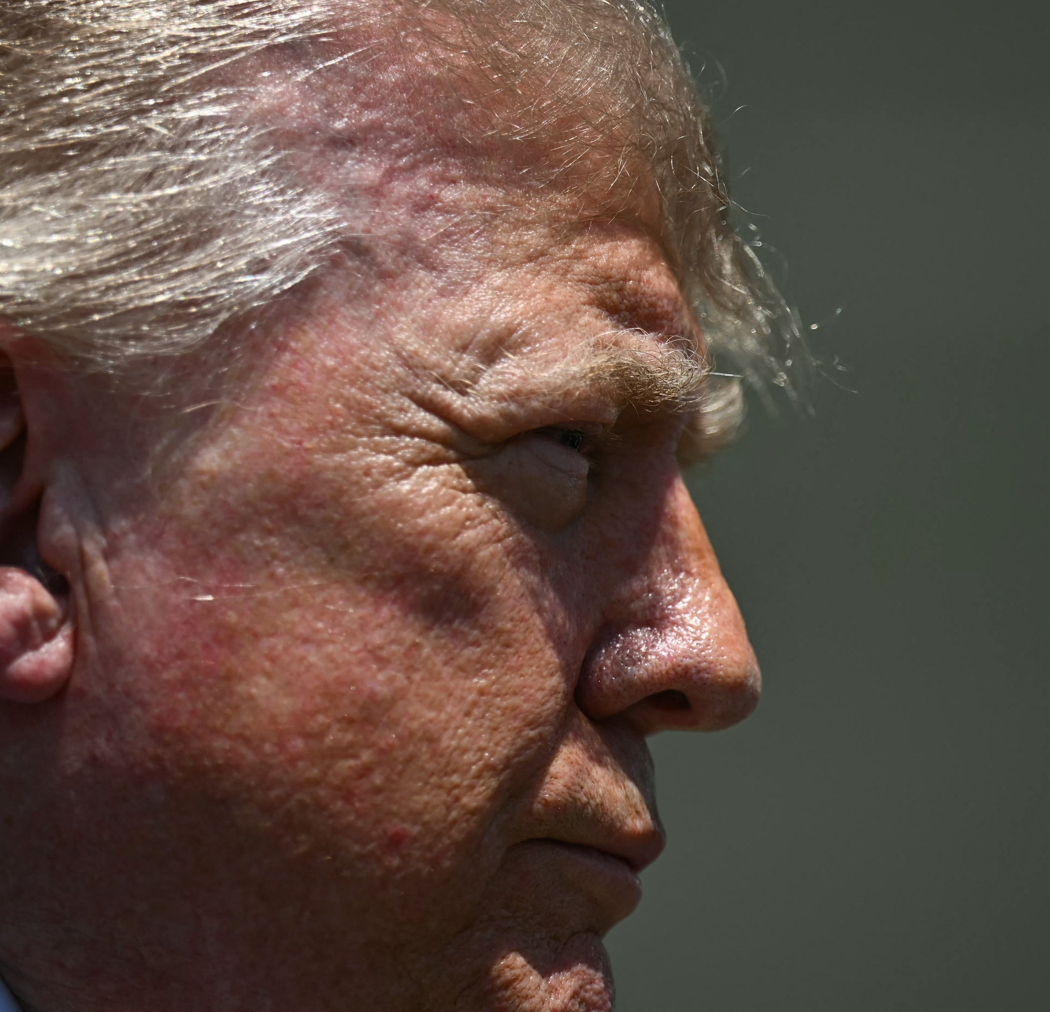 Close-up of Donald Trump's hair in profile