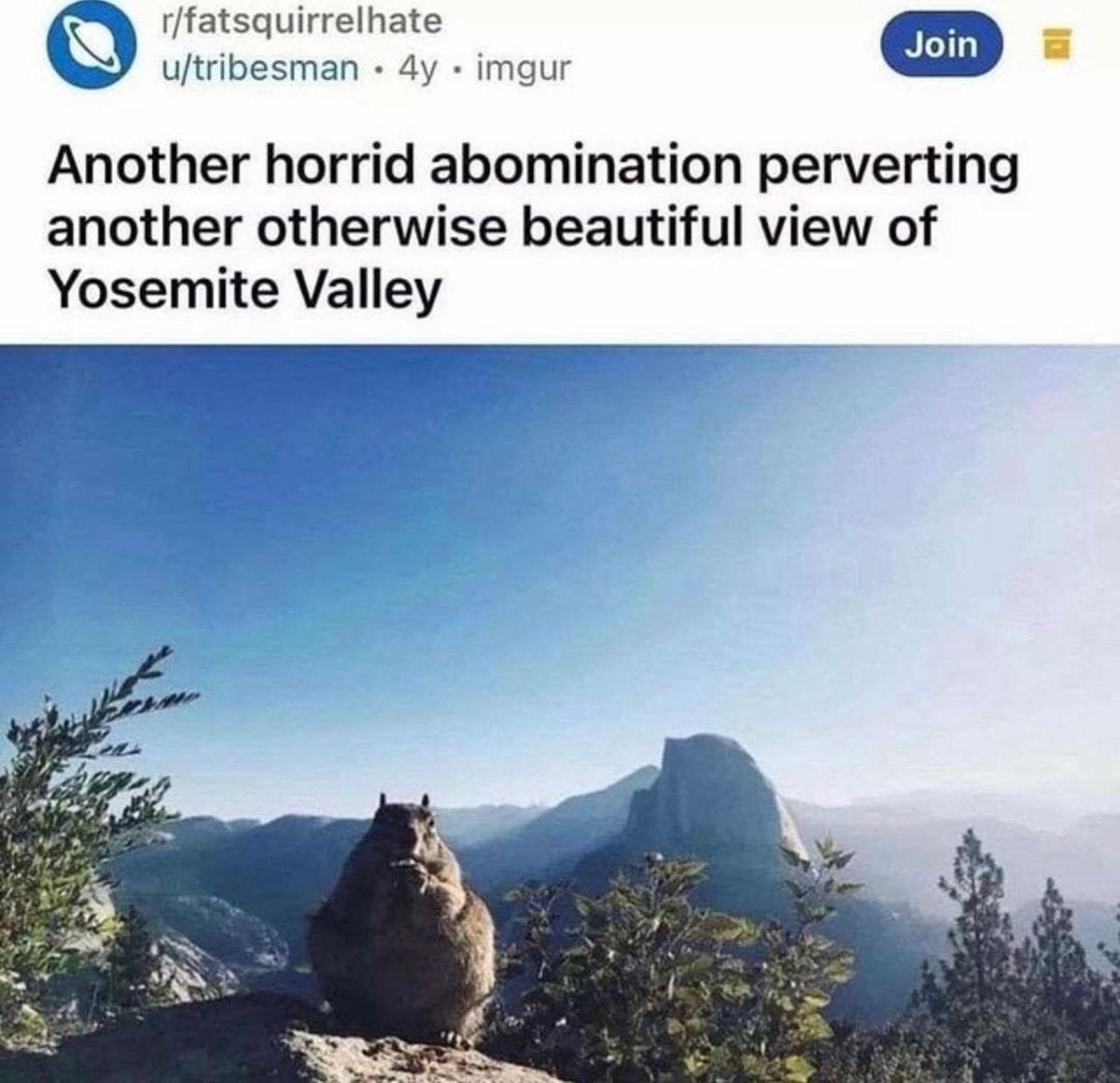 A humorous meme showing a squirrel on a rock, captioned about it disrupting a view of Yosemite Valley