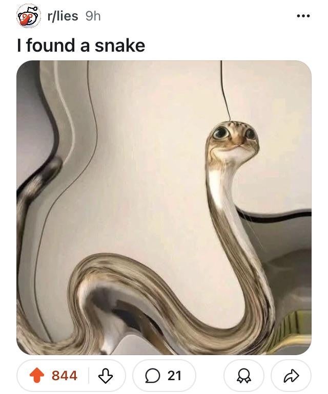 Distorted cat photo, captioned: "I found a snake," resembling a snake due to image warp
