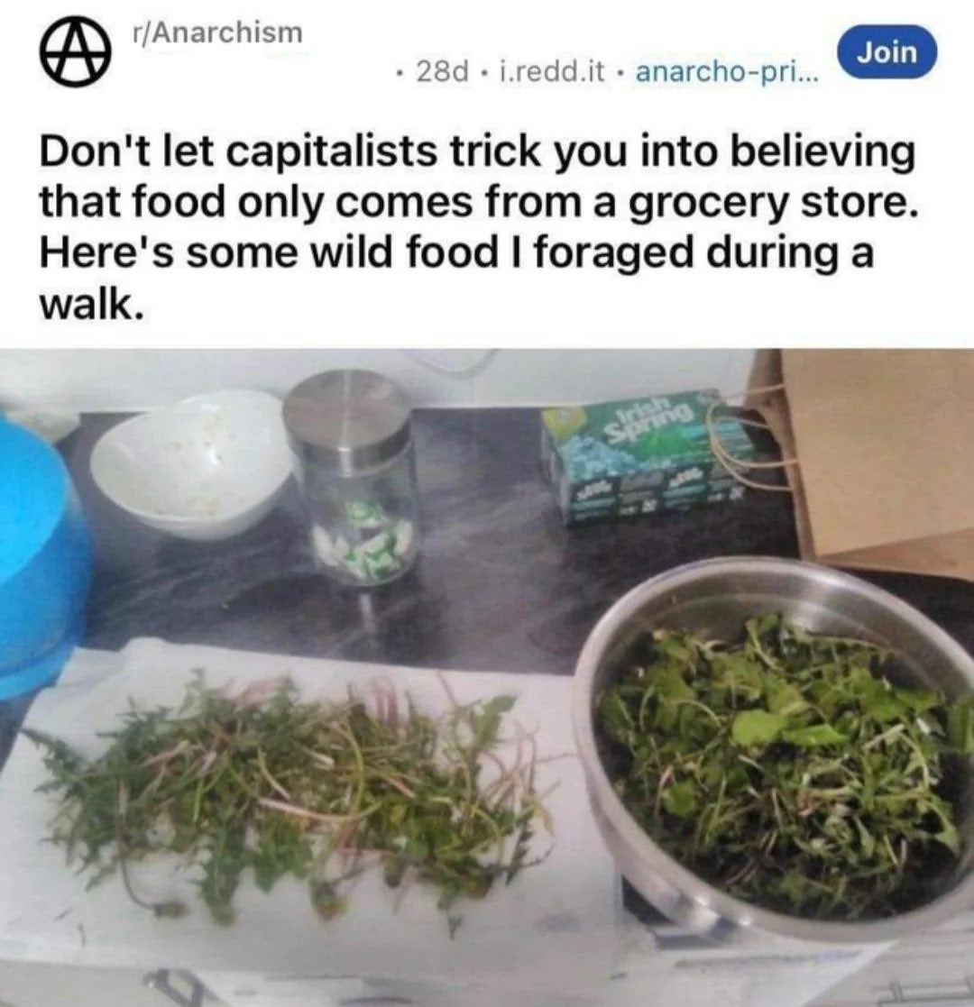 Image of a Reddit post with a table of foraged greens, suggesting not to believe food only comes from grocery stores