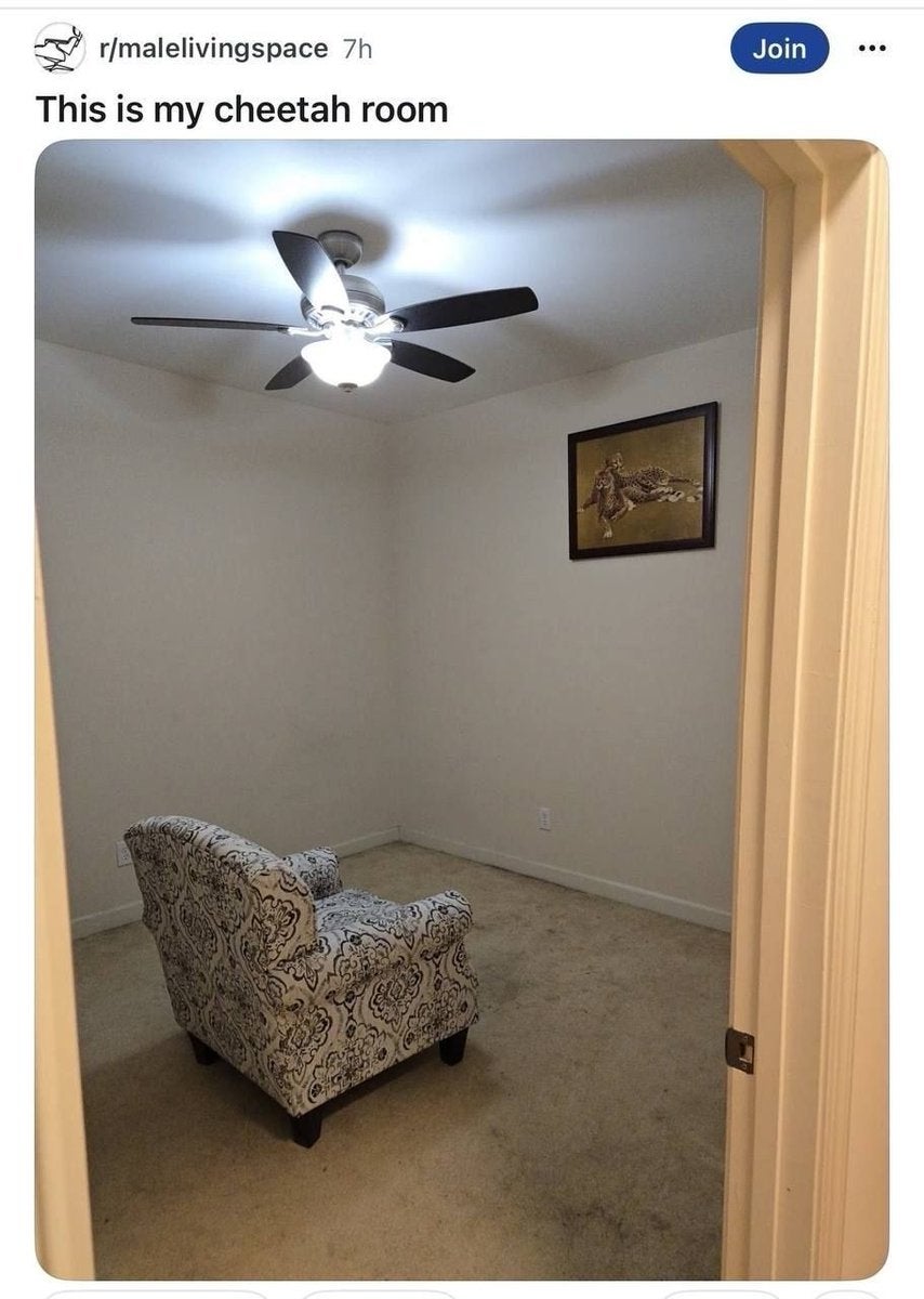 Room with a patterned armchair, ceiling fan, and cheetah artwork. Minimalist decor