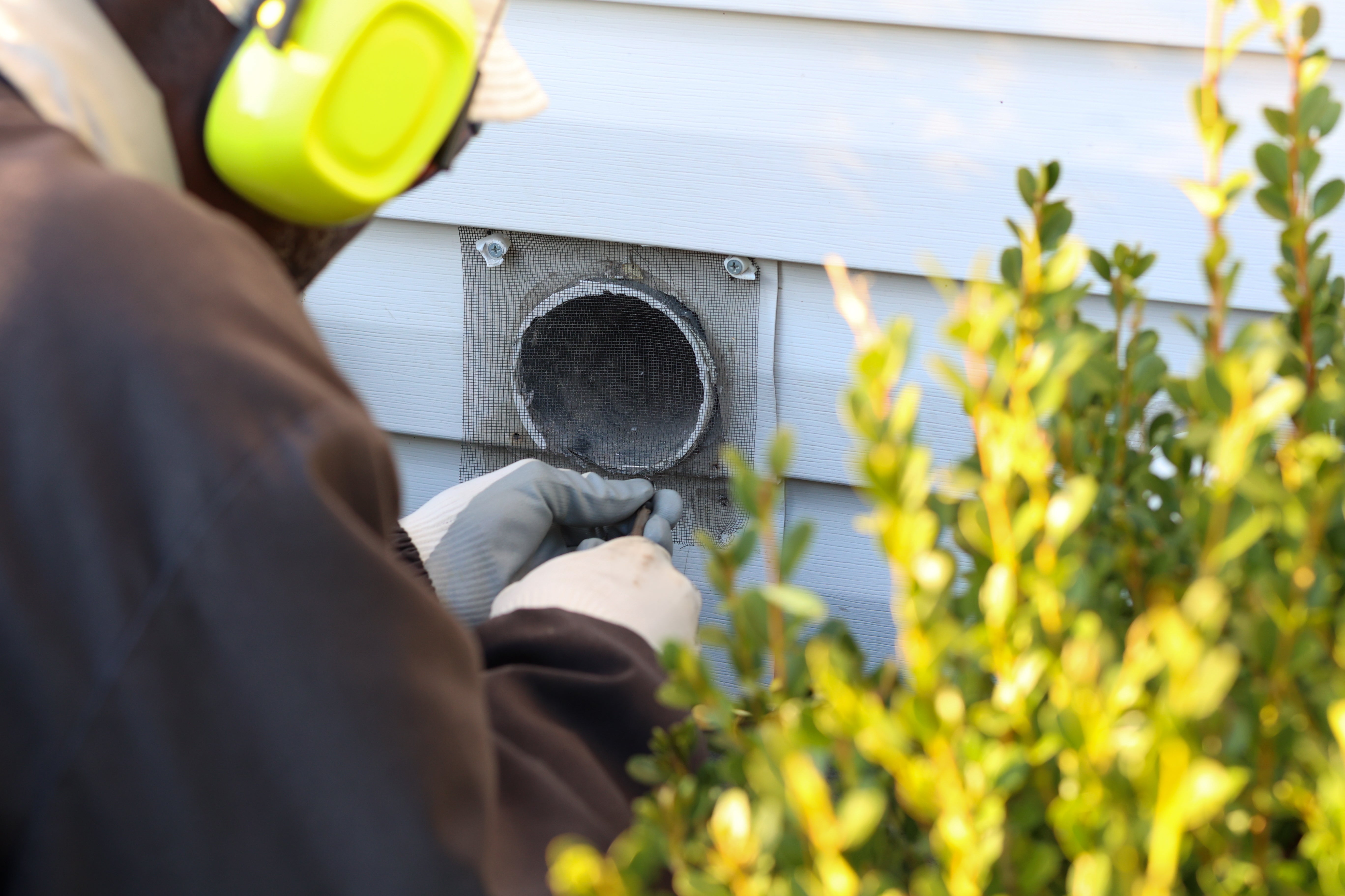 Person wearing ear protection cleaning or repairing an exterior vent with mesh cover on a building wall, behind greenery