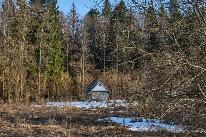 A small cabin sits in a clearing surrounded by leafless trees and patches of snow, with a forest in the background