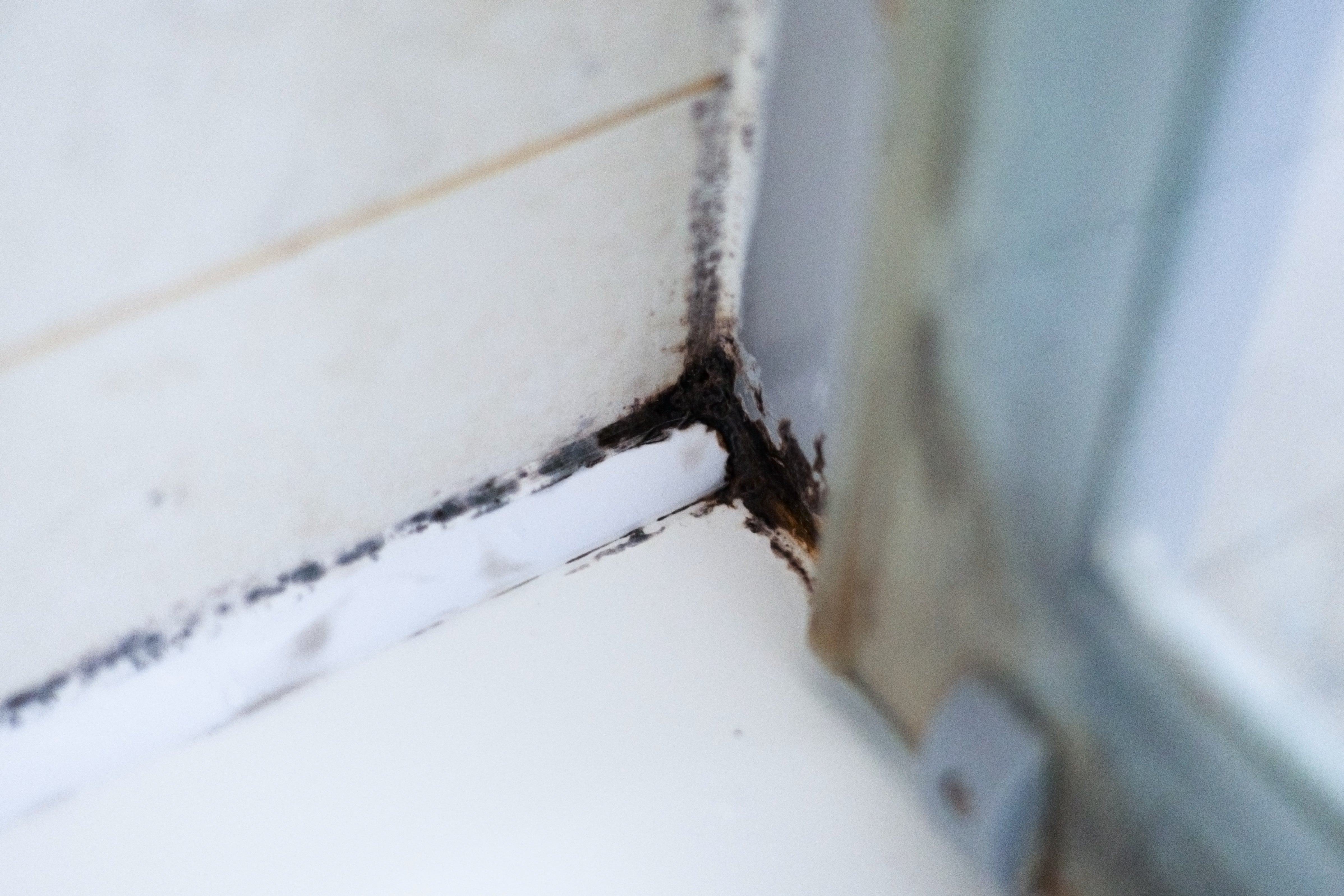 Mold growth in a corner of a bathroom near a window, visible on the tiles and sealant