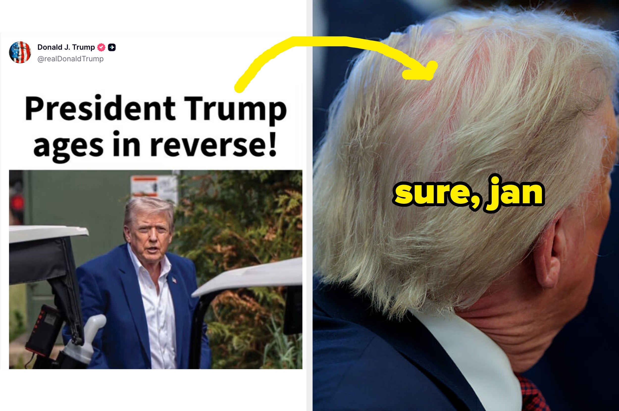 Split image: Left side shows tweet claiming "President Trump ages in reverse" with car photo. Right side highlights trump's hair