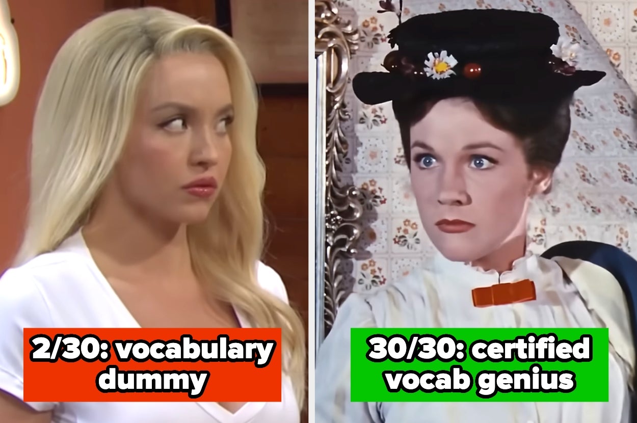 Split image: Left shows a woman with a skeptical look labeled "2/30: vocabulary dummy." Right shows a woman in vintage attire labeled "30/30: certified vocab genius."