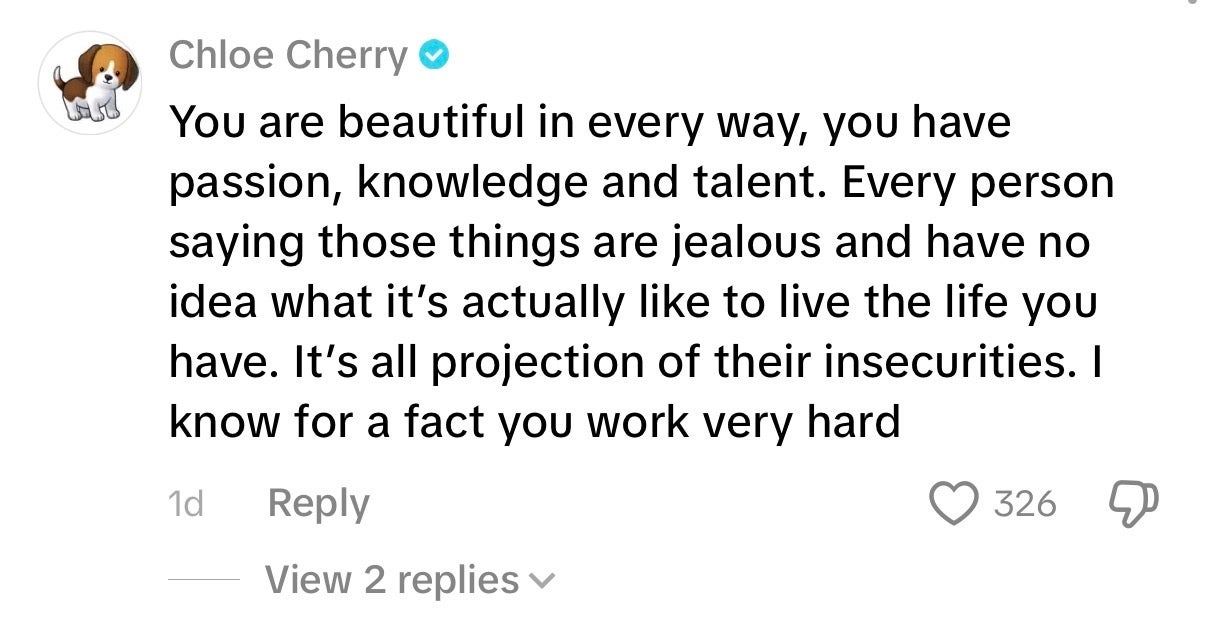 Comment praising someone's beauty, talent, and hard   work, portion    noting others' jealousy and insecurities