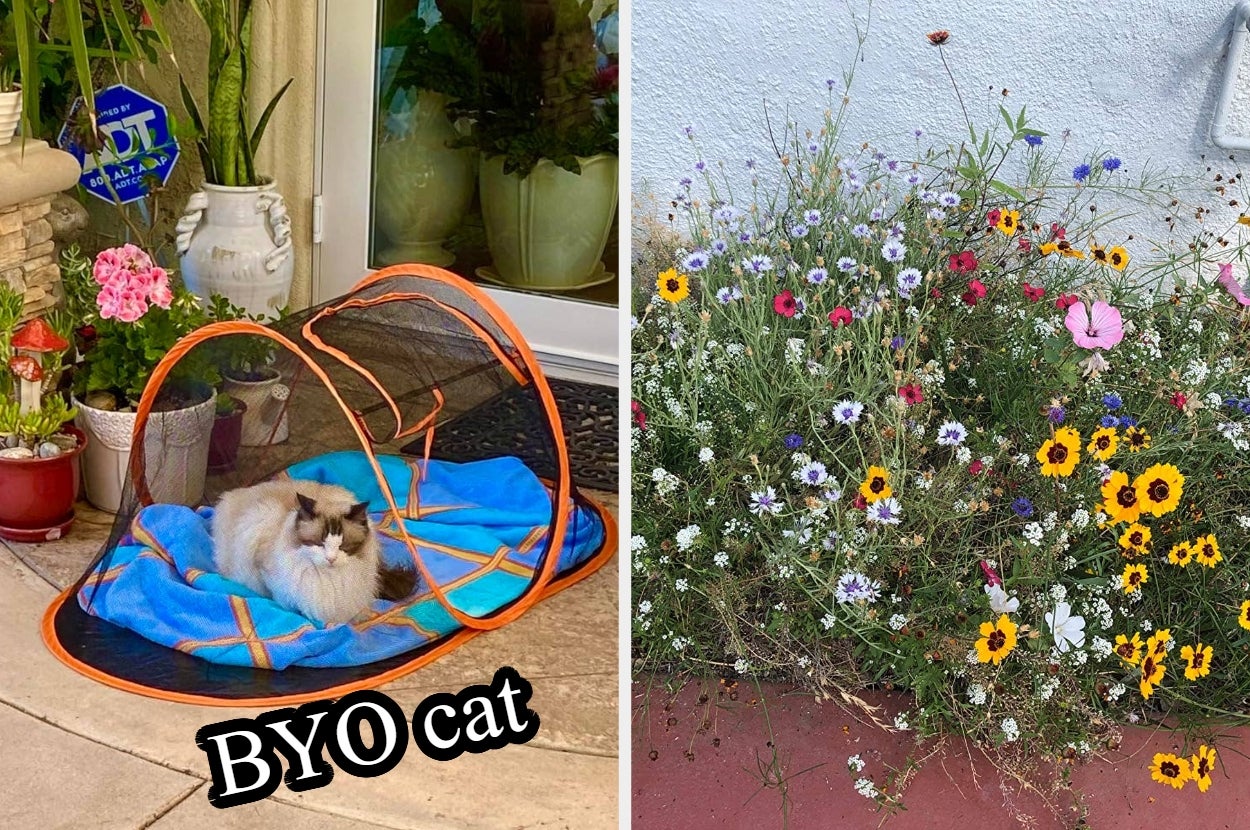 buzzfeed.com - Danielle Healy - 32 Little Things To Improve Your Outdoor Space And The Time You Spend There