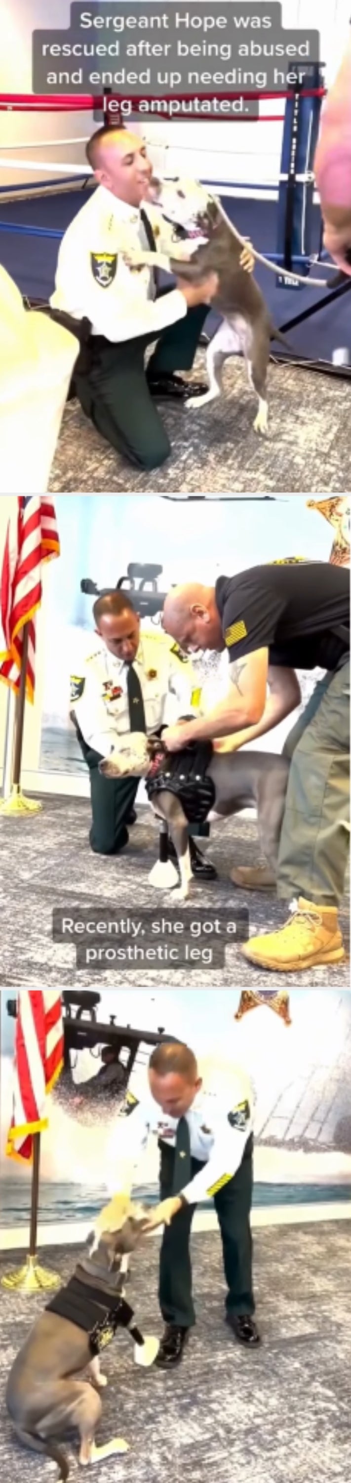 Sergeant holding a dog named Hope in front of a boxing ring. Overlay text explains Hope was rescued, abused, and needed leg amputation