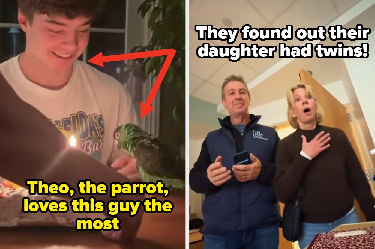 Left image: A young man smiling at a parrot on a table. Right image: A surprised couple reacting to news