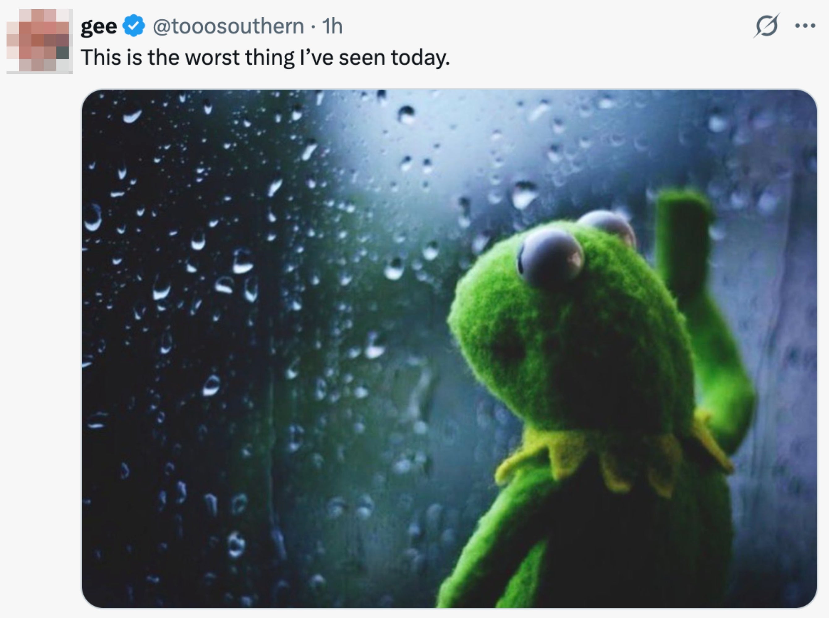 Kermit the Frog puppet gazes thoughtfully out a rainy window. Tweet text above reads, "This is the worst thing I’ve seen today."