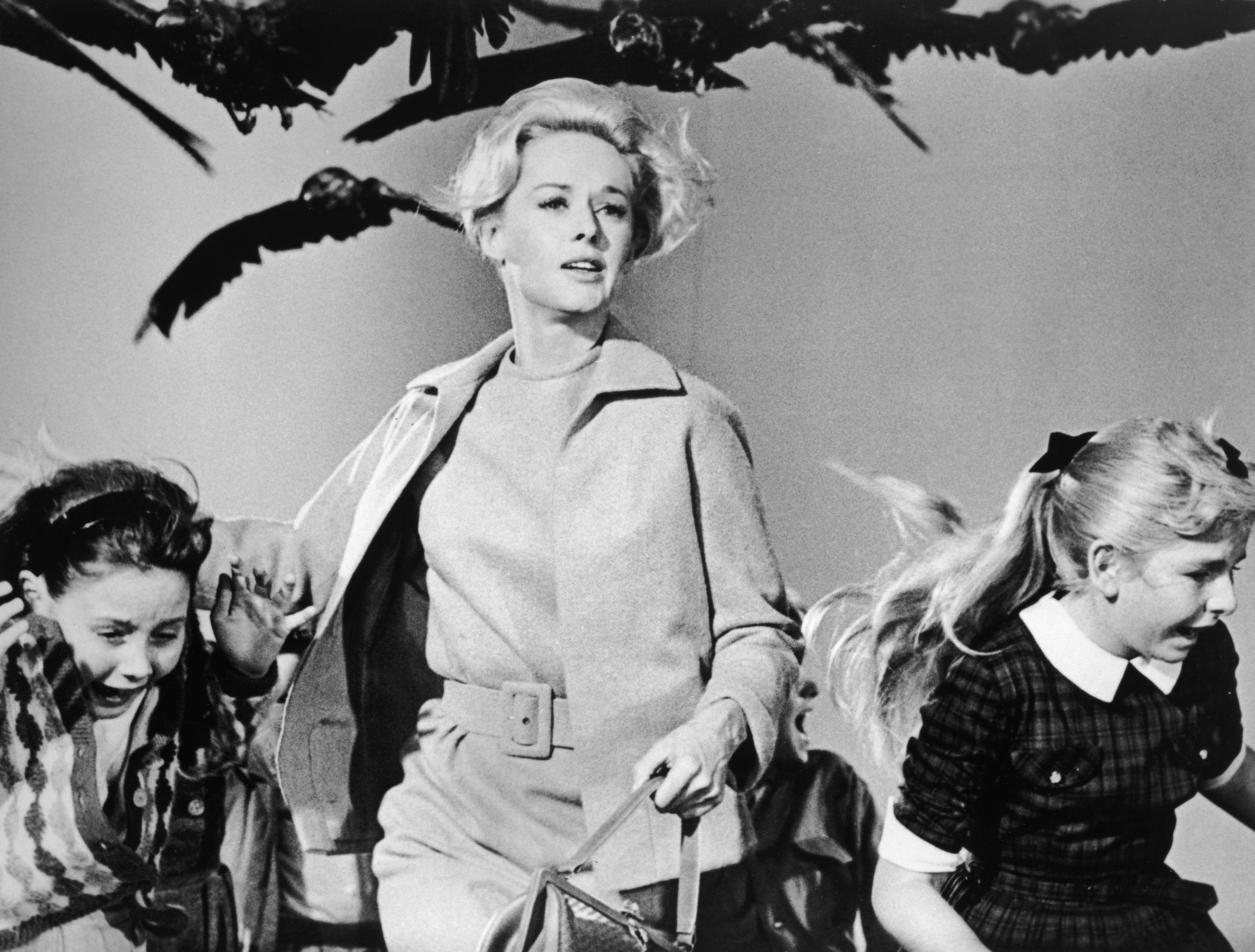 A pistillate   and 2  girls tally  distant  from a flock of birds. The pistillate   wears a tailored suit, conveying a consciousness   of urgency and fear