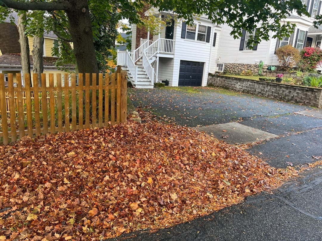 Post image 55
